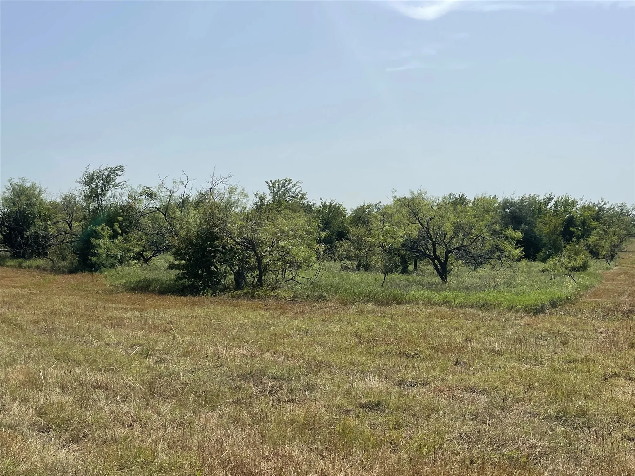 Unimproved Land For Sale in Limestone County , TBD Lot 9 FM 339, Mount Calm, Texas 76673, 0, 0, Garage spaces, 0 Sqft, built in 0, mls#20807241, Real Estate Agent in Mount Calm, Homes For Sale in Limestone county, Homes For Sale in Mount Calm, Realtor in Mount Calm Texas, Real Estate Brokerage Independent Realty Texas, Luminita Cordes Realtor