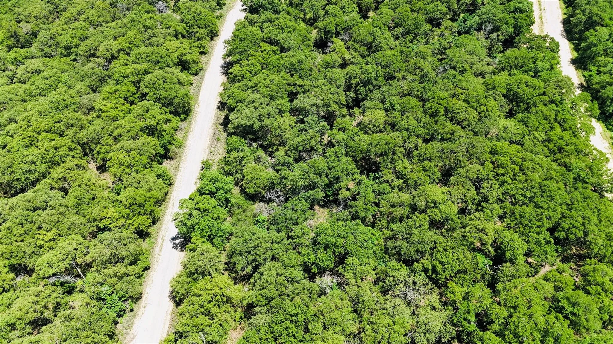 Unimproved Land For Sale in Montague County , 143 Briarwood Trail, Nocona, Texas 76255, 0, 0, Garage spaces, 0 Sqft, built in 0, Price $21,500, mls#20805584, Real Estate Agent in Nocona, Homes For Sale in Montague county, Homes For Sale in Nocona, Realtor in Nocona Texas, Real Estate Brokerage Independent Realty Texas, Luminita Cordes Realtor