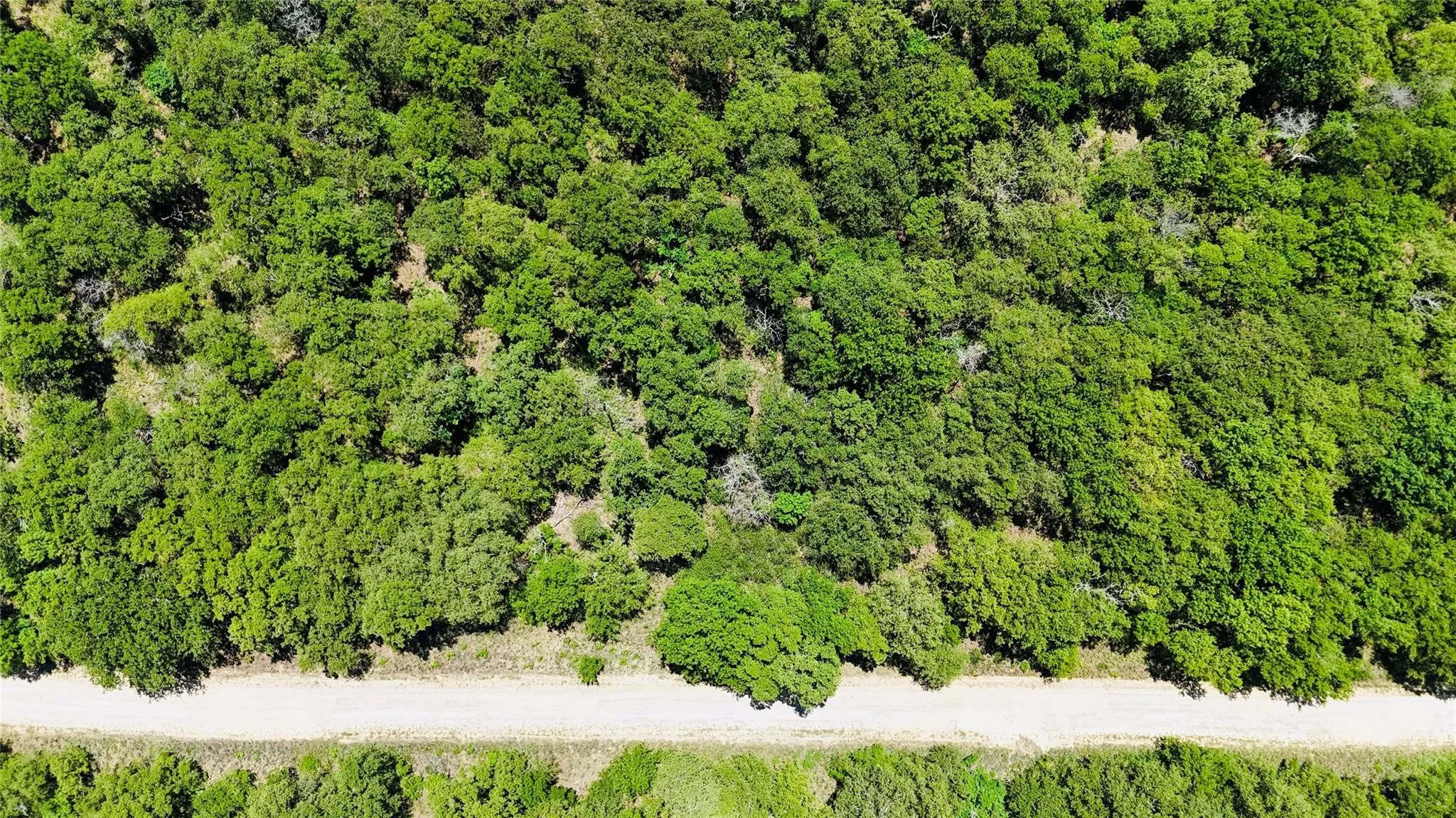 Unimproved Land For Sale in Montague County , 143 Briarwood Trail, Nocona, Texas 76255, 0, 0, Garage spaces, 0 Sqft, built in 0, Price $21,500, mls#20805584, Real Estate Agent in Nocona, Homes For Sale in Montague county, Homes For Sale in Nocona, Realtor in Nocona Texas, Real Estate Brokerage Independent Realty Texas, Luminita Cordes Realtor