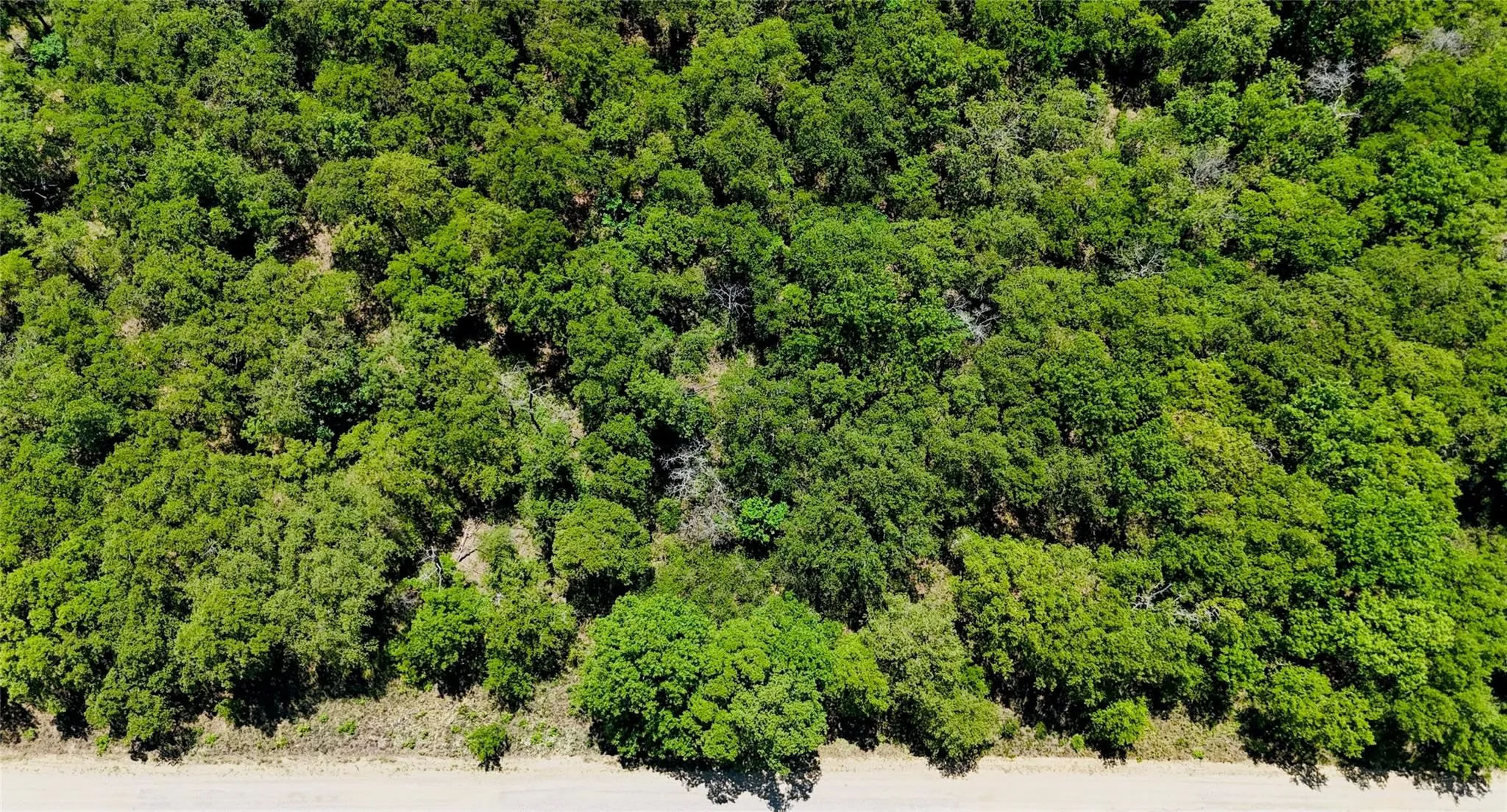 Unimproved Land For Sale in Montague County , 143 Briarwood Trail, Nocona, Texas 76255, 0, 0, Garage spaces, 0 Sqft, built in 0, Price $21,500, mls#20805584, Real Estate Agent in Nocona, Homes For Sale in Montague county, Homes For Sale in Nocona, Realtor in Nocona Texas, Real Estate Brokerage Independent Realty Texas, Luminita Cordes Realtor
