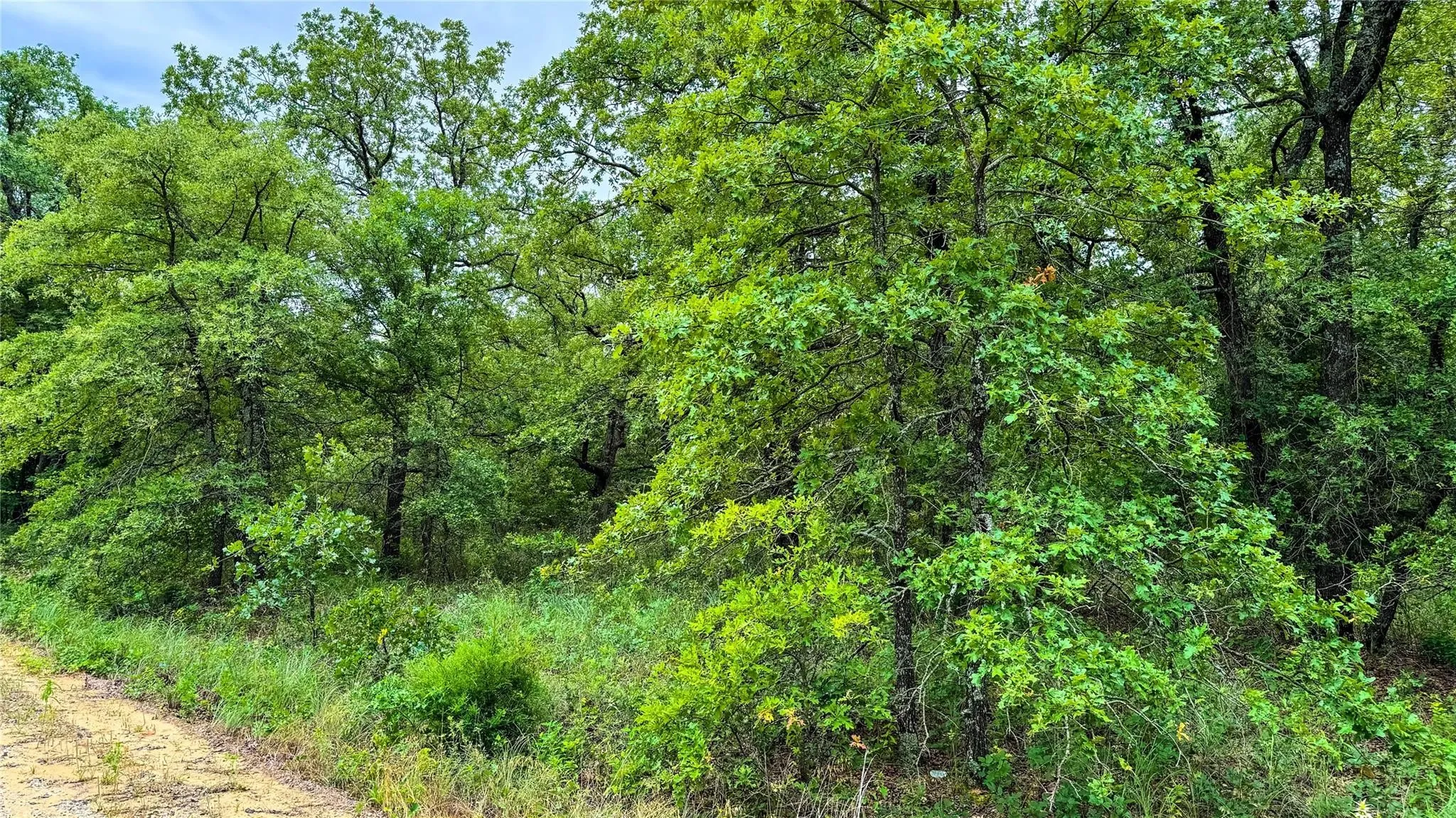 Unimproved Land For Sale in Montague County , 143 Briarwood Trail, Nocona, Texas 76255, 0, 0, Garage spaces, 0 Sqft, built in 0, Price $21,500, mls#20805584, Real Estate Agent in Nocona, Homes For Sale in Montague county, Homes For Sale in Nocona, Realtor in Nocona Texas, Real Estate Brokerage Independent Realty Texas, Luminita Cordes Realtor