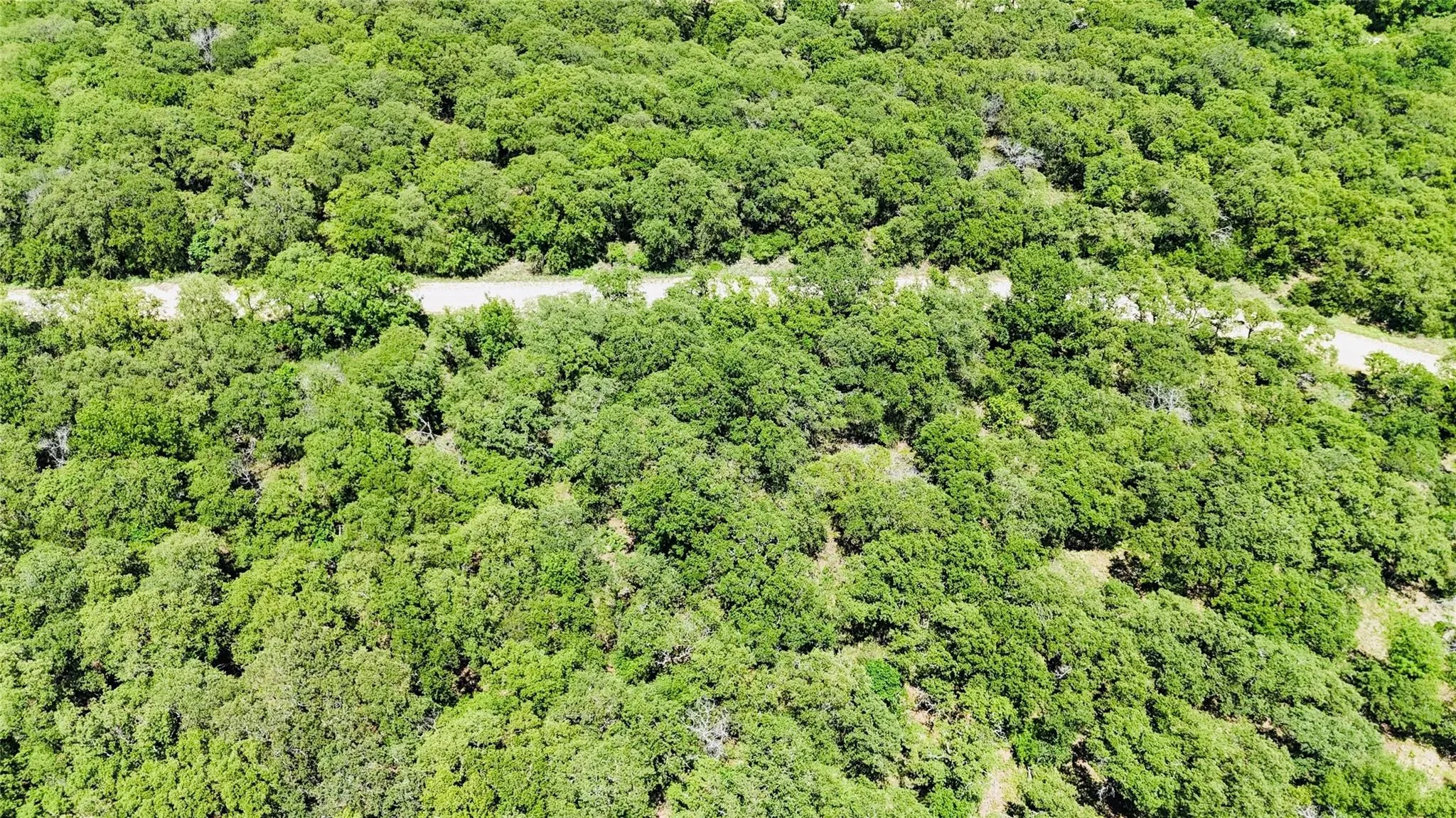 Unimproved Land For Sale in Montague County , 143 Briarwood Trail, Nocona, Texas 76255, 0, 0, Garage spaces, 0 Sqft, built in 0, Price $21,500, mls#20805584, Real Estate Agent in Nocona, Homes For Sale in Montague county, Homes For Sale in Nocona, Realtor in Nocona Texas, Real Estate Brokerage Independent Realty Texas, Luminita Cordes Realtor