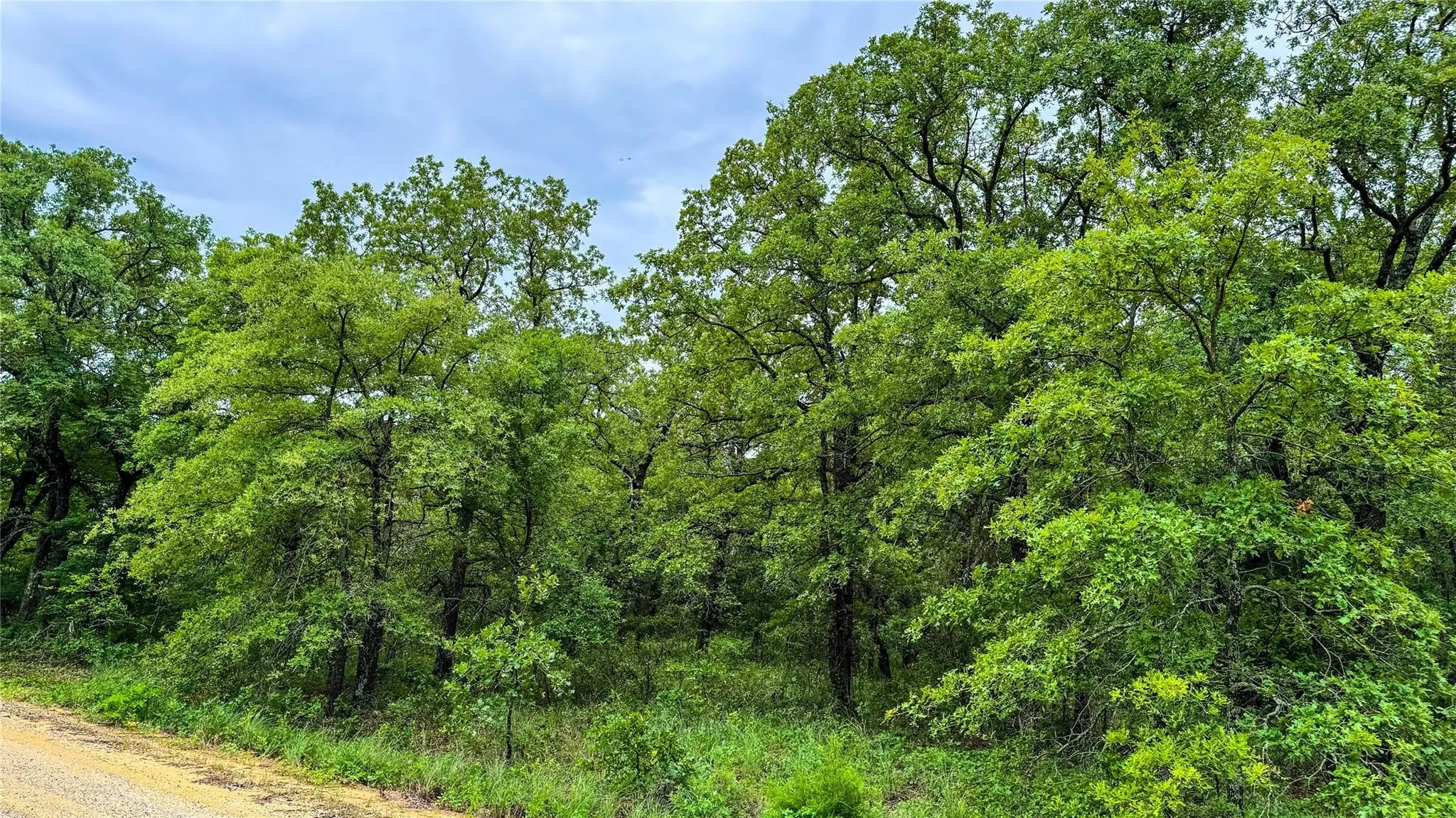 Unimproved Land For Sale in Montague County , 143 Briarwood Trail, Nocona, Texas 76255, 0, 0, Garage spaces, 0 Sqft, built in 0, Price $21,500, mls#20805584, Real Estate Agent in Nocona, Homes For Sale in Montague county, Homes For Sale in Nocona, Realtor in Nocona Texas, Real Estate Brokerage Independent Realty Texas, Luminita Cordes Realtor