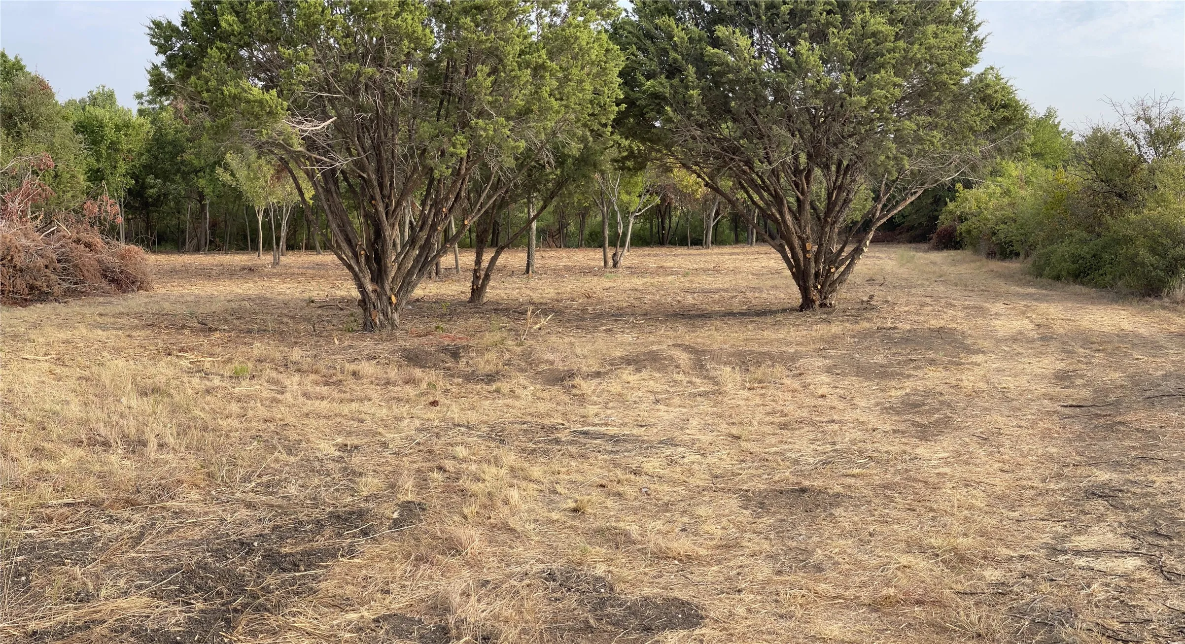 Beyond the trees is a beautiful site to build your home with privacy.