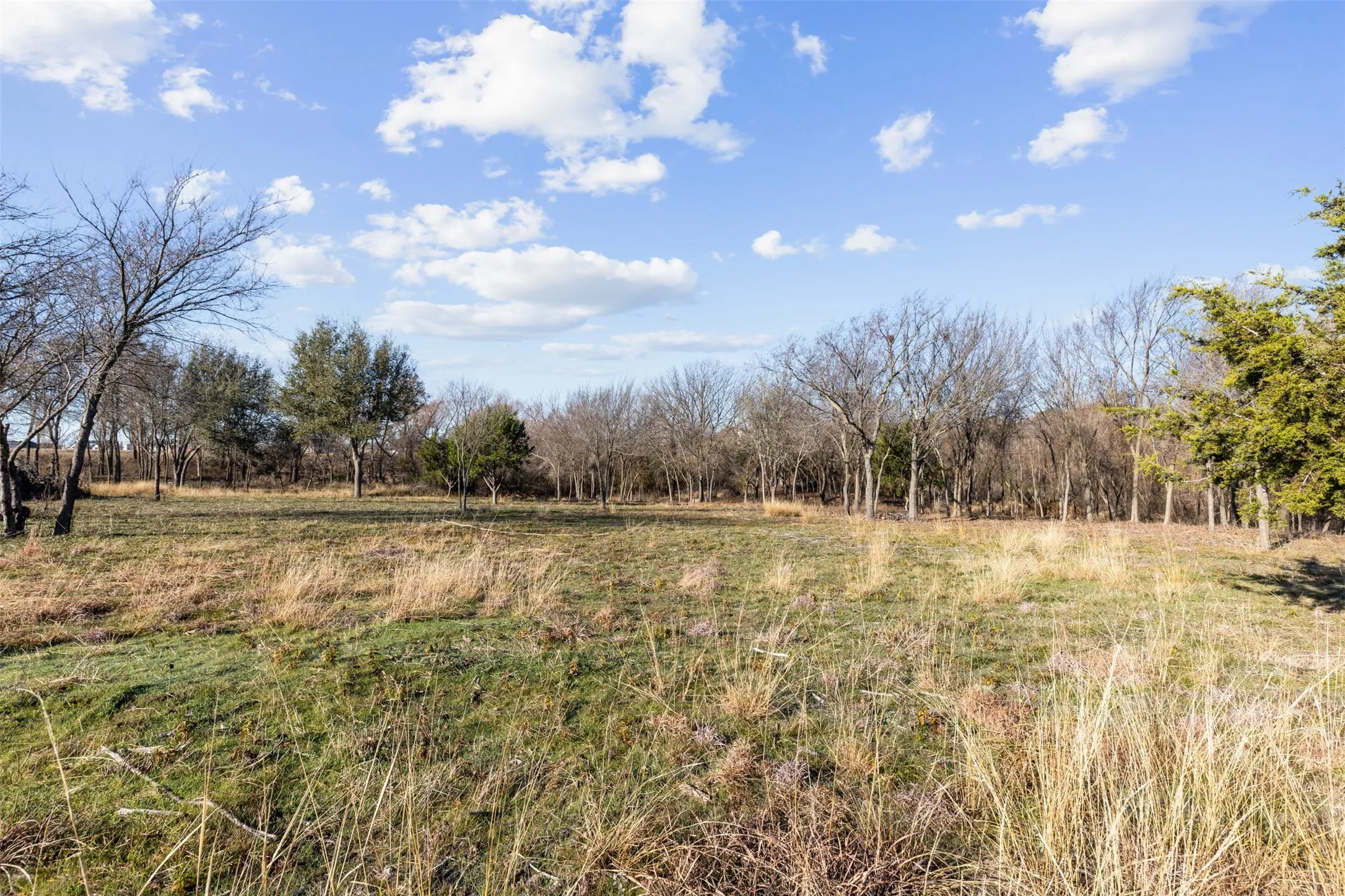 Level ground on the property as well.