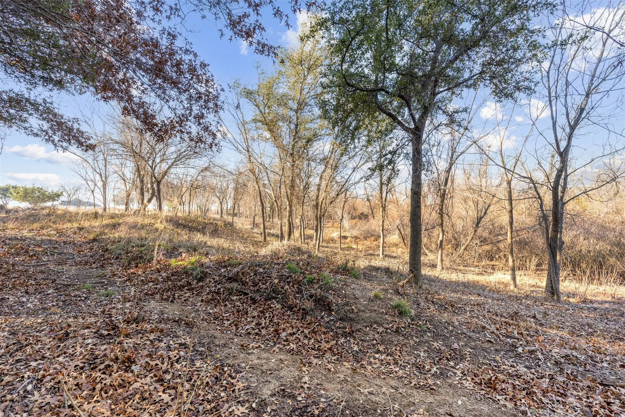 Elevation changes on the property add to it's charm.