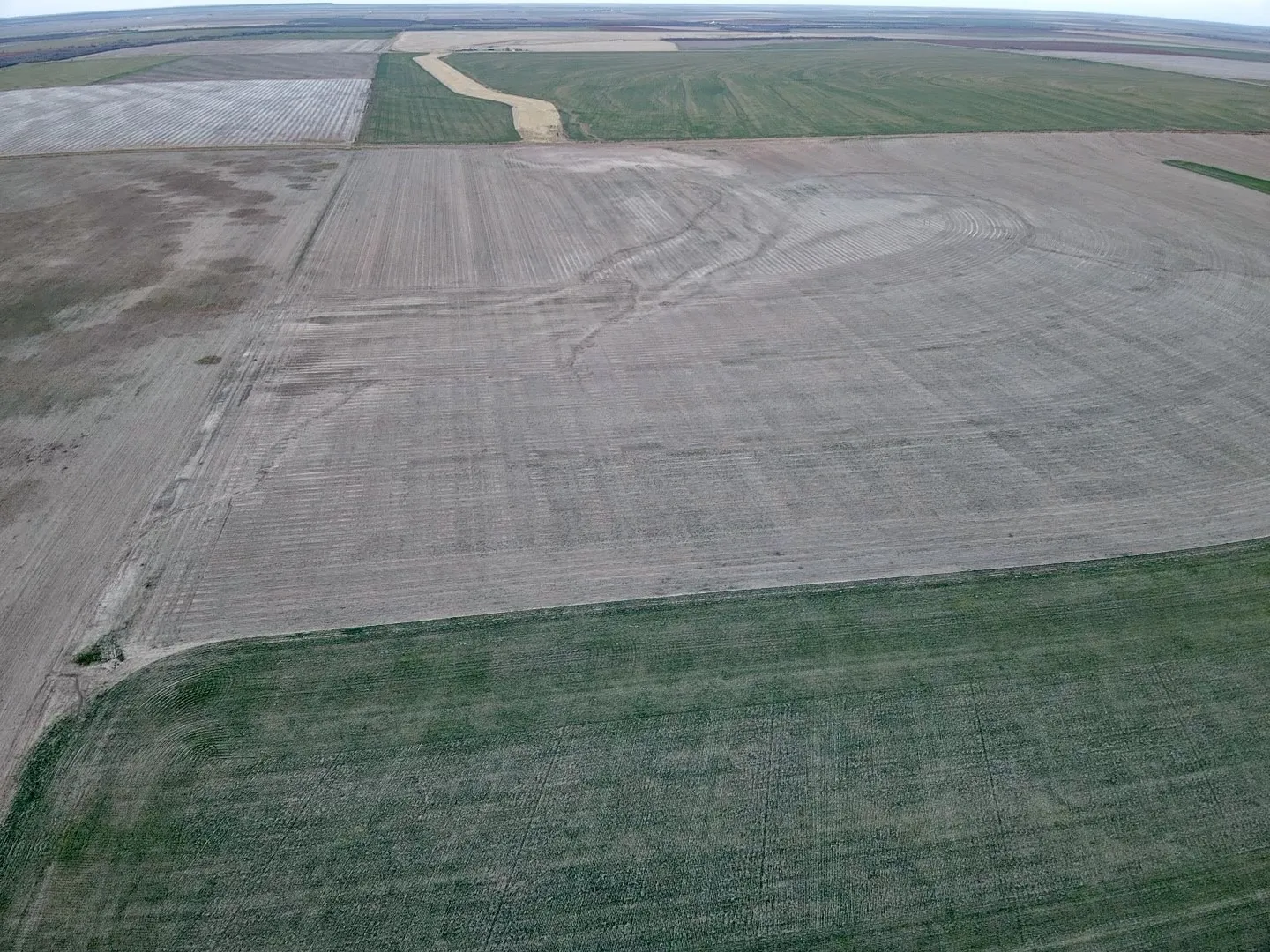 Unimproved Land For Sale in Jones County , n/a CR 168, Anson, Texas 79501, 0, 0, Garage spaces, 0 Sqft, built in 0, mls#20810680, Real Estate Agent in Anson, Homes For Sale in Jones county, Homes For Sale in Anson, Realtor in Anson Texas, Real Estate Brokerage Independent Realty Texas, Luminita Cordes Realtor