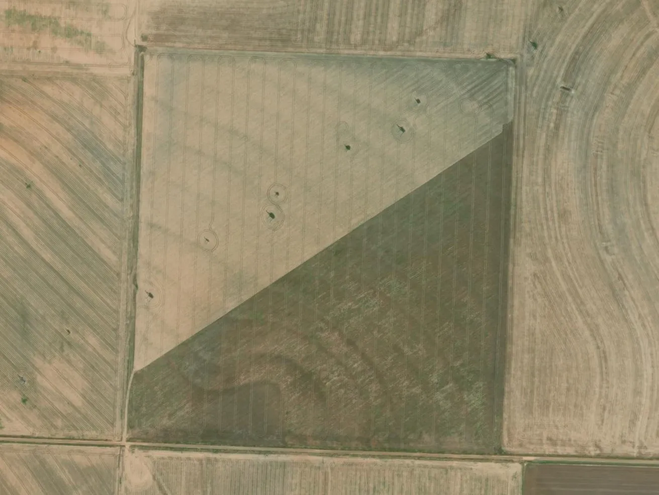 Unimproved Land For Sale in Jones County , n/a CR 168, Anson, Texas 79501, 0, 0, Garage spaces, 0 Sqft, built in 0, mls#20810680, Real Estate Agent in Anson, Homes For Sale in Jones county, Homes For Sale in Anson, Realtor in Anson Texas, Real Estate Brokerage Independent Realty Texas, Luminita Cordes Realtor