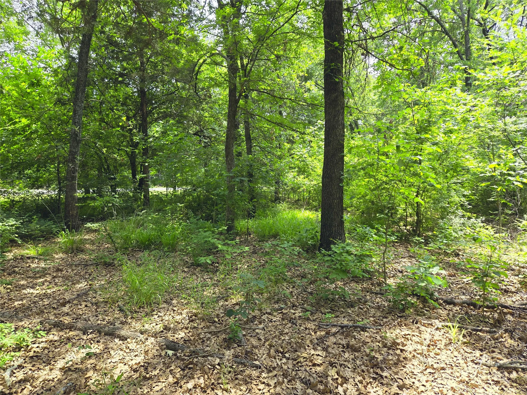 Unimproved Land For Sale in Navarro County , 442 Waters Edge Drive, Corsicana, Texas 75109, 0, 0, Garage spaces, 0 Sqft, built in 0, Price $94,900, mls#20810887, Real Estate Agent in Corsicana, Homes For Sale in Navarro county, Homes For Sale in Corsicana, Realtor in Corsicana Texas, Real Estate Brokerage Independent Realty Texas, Luminita Cordes Realtor