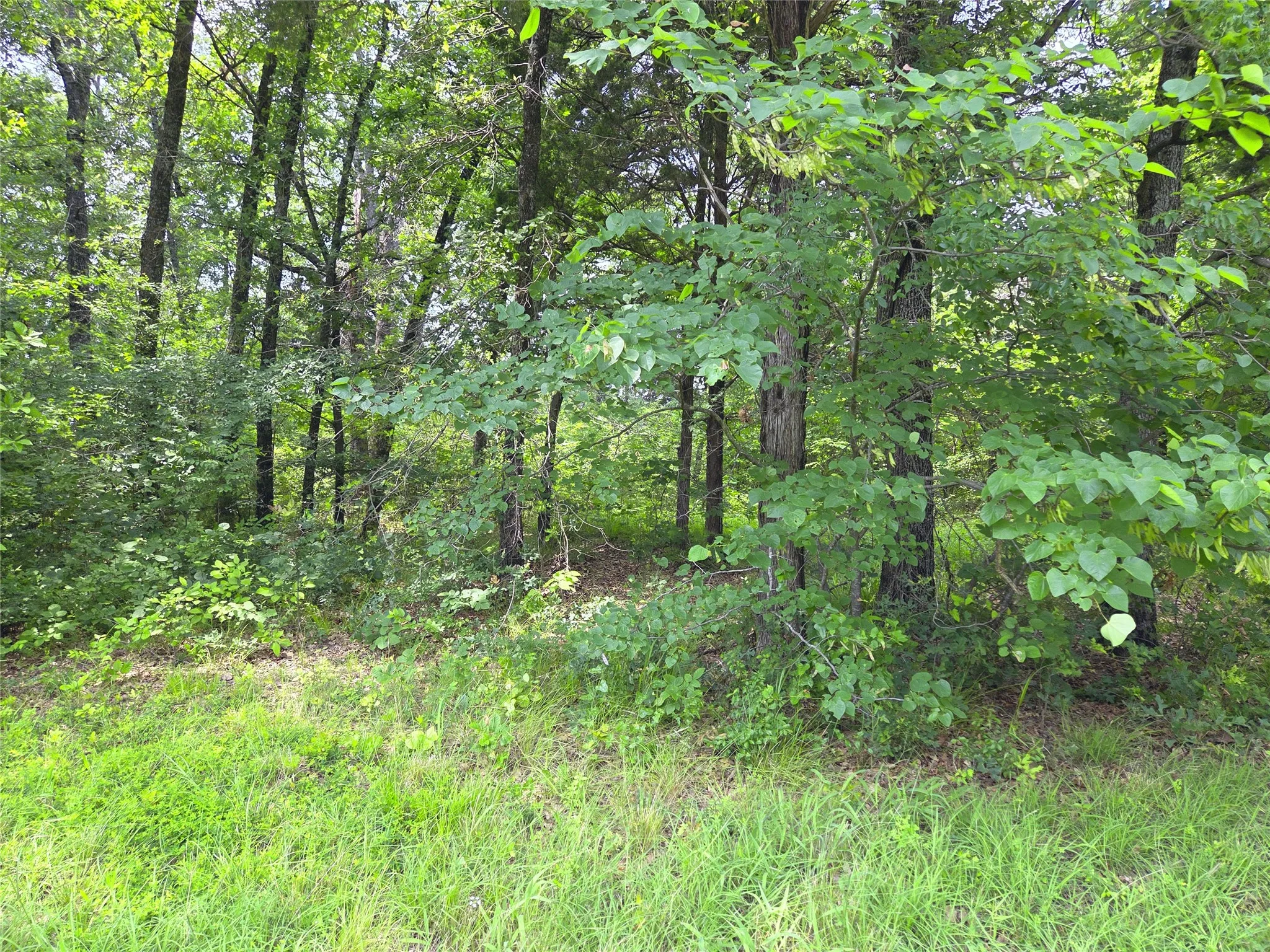 Unimproved Land For Sale in Navarro County , 442 Waters Edge Drive, Corsicana, Texas 75109, 0, 0, Garage spaces, 0 Sqft, built in 0, Price $94,900, mls#20810887, Real Estate Agent in Corsicana, Homes For Sale in Navarro county, Homes For Sale in Corsicana, Realtor in Corsicana Texas, Real Estate Brokerage Independent Realty Texas, Luminita Cordes Realtor