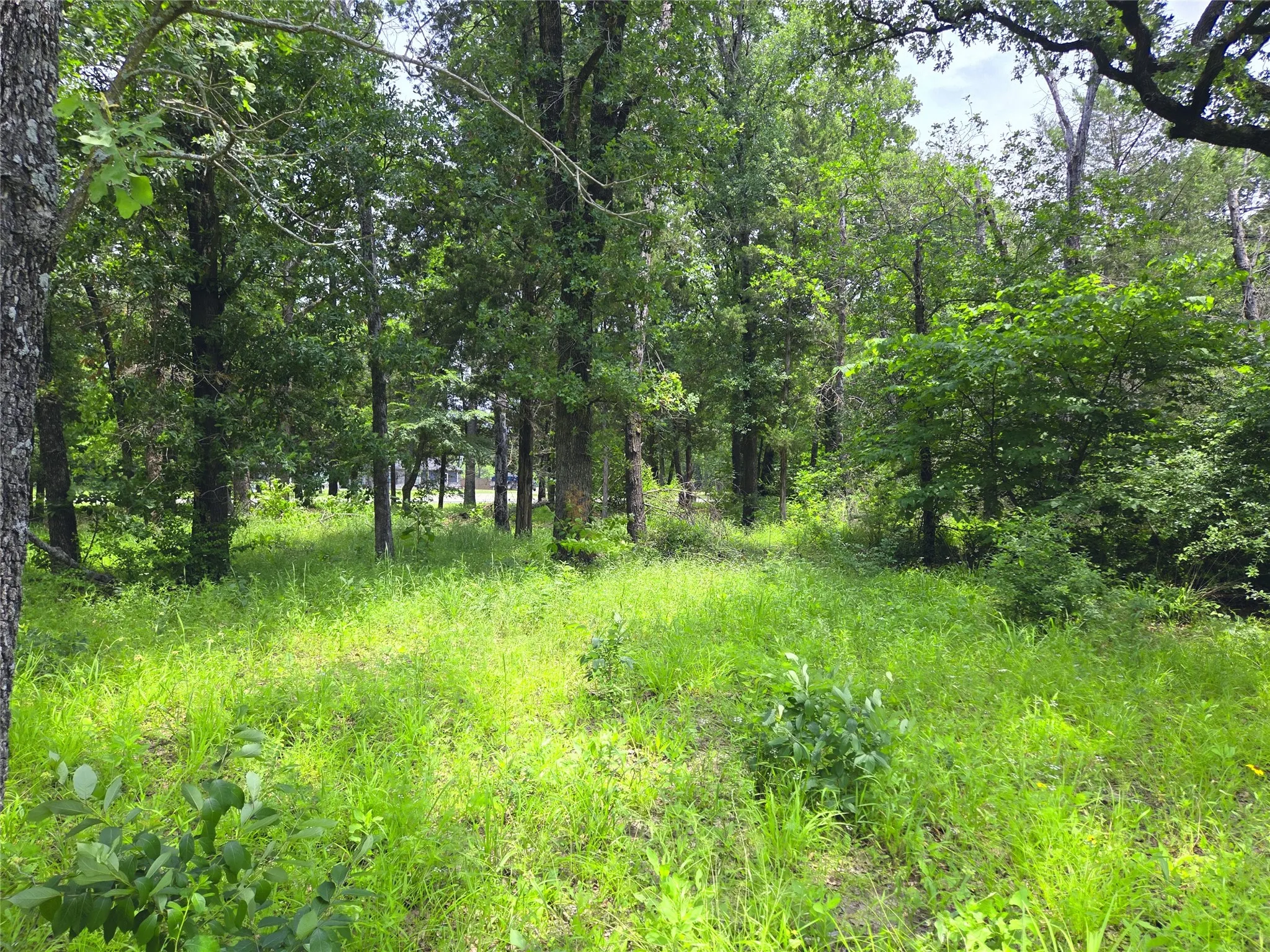 Unimproved Land For Sale in Navarro County , 442 Waters Edge Drive, Corsicana, Texas 75109, 0, 0, Garage spaces, 0 Sqft, built in 0, Price $94,900, mls#20810887, Real Estate Agent in Corsicana, Homes For Sale in Navarro county, Homes For Sale in Corsicana, Realtor in Corsicana Texas, Real Estate Brokerage Independent Realty Texas, Luminita Cordes Realtor
