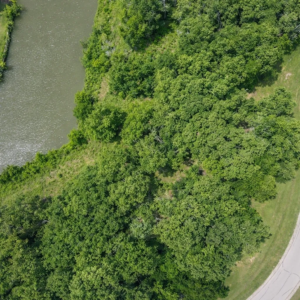 Unimproved Land For Sale in Navarro County , 442 Waters Edge Drive, Corsicana, Texas 75109, 0, 0, Garage spaces, 0 Sqft, built in 0, Price $94,900, mls#20810887, Real Estate Agent in Corsicana, Homes For Sale in Navarro county, Homes For Sale in Corsicana, Realtor in Corsicana Texas, Real Estate Brokerage Independent Realty Texas, Luminita Cordes Realtor
