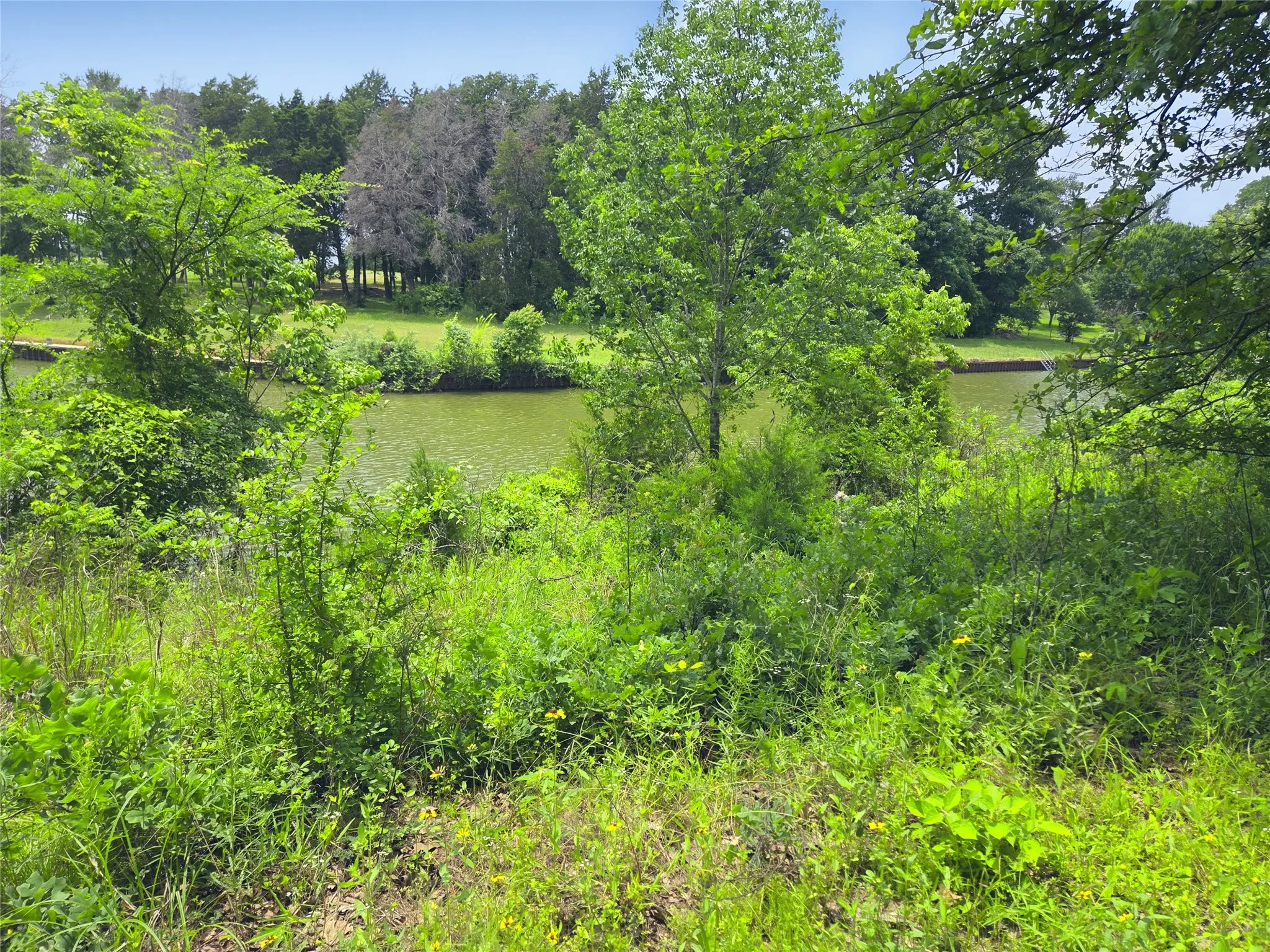 Unimproved Land For Sale in Navarro County , 442 Waters Edge Drive, Corsicana, Texas 75109, 0, 0, Garage spaces, 0 Sqft, built in 0, Price $94,900, mls#20810887, Real Estate Agent in Corsicana, Homes For Sale in Navarro county, Homes For Sale in Corsicana, Realtor in Corsicana Texas, Real Estate Brokerage Independent Realty Texas, Luminita Cordes Realtor