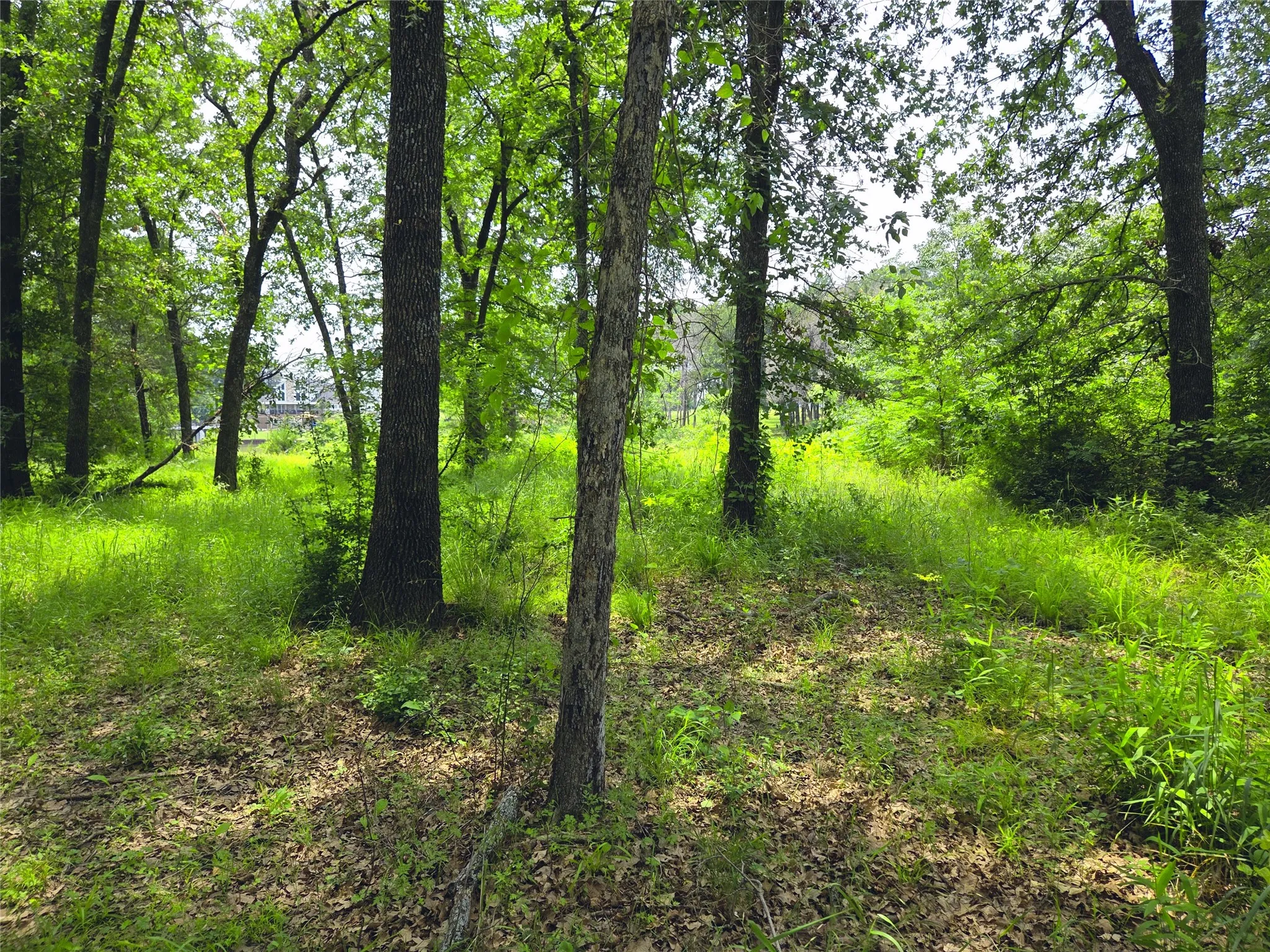 Unimproved Land For Sale in Navarro County , 442 Waters Edge Drive, Corsicana, Texas 75109, 0, 0, Garage spaces, 0 Sqft, built in 0, Price $94,900, mls#20810887, Real Estate Agent in Corsicana, Homes For Sale in Navarro county, Homes For Sale in Corsicana, Realtor in Corsicana Texas, Real Estate Brokerage Independent Realty Texas, Luminita Cordes Realtor