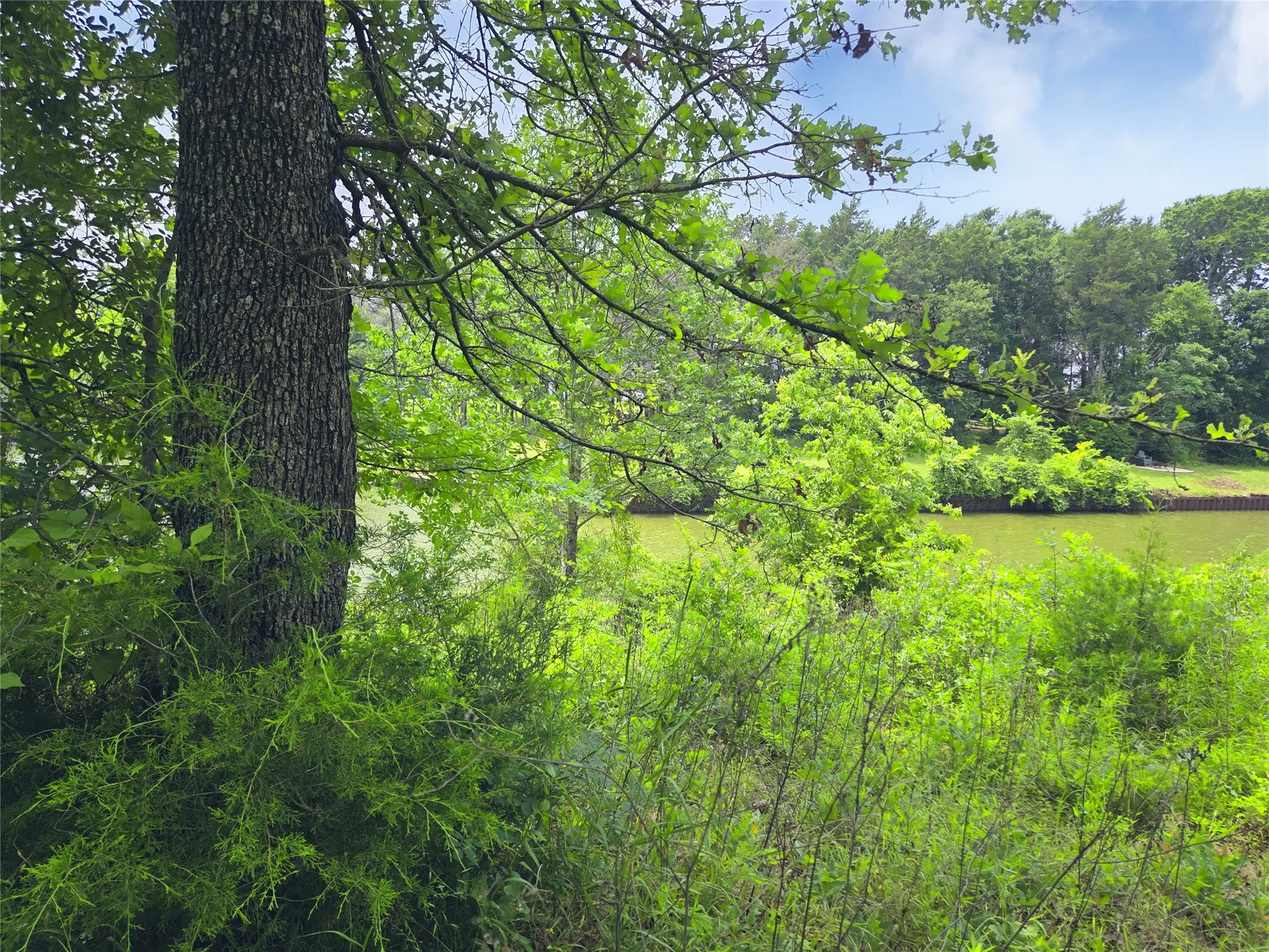 Unimproved Land For Sale in Navarro County , 442 Waters Edge Drive, Corsicana, Texas 75109, 0, 0, Garage spaces, 0 Sqft, built in 0, Price $94,900, mls#20810887, Real Estate Agent in Corsicana, Homes For Sale in Navarro county, Homes For Sale in Corsicana, Realtor in Corsicana Texas, Real Estate Brokerage Independent Realty Texas, Luminita Cordes Realtor