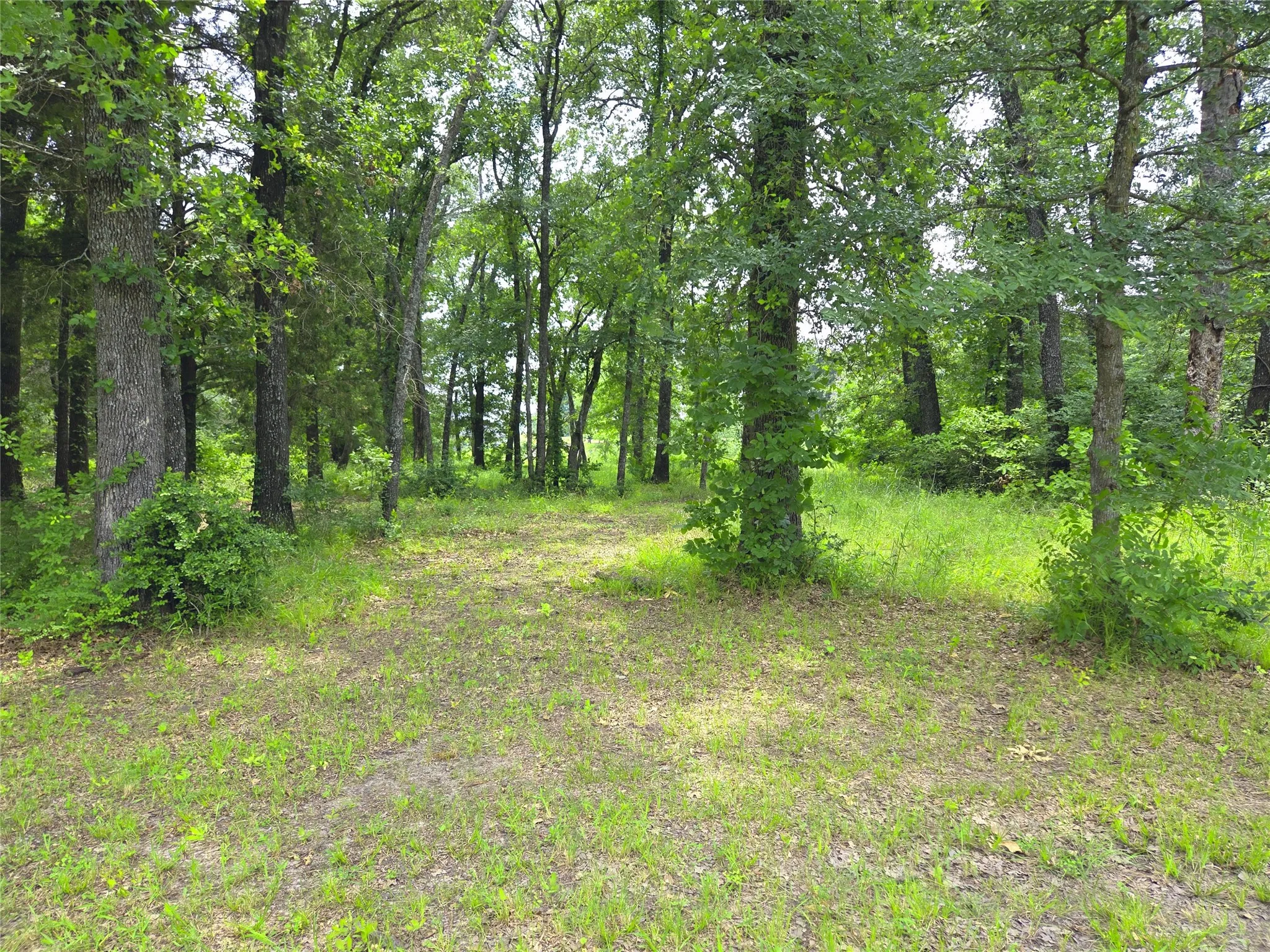 Unimproved Land For Sale in Navarro County , 442 Waters Edge Drive, Corsicana, Texas 75109, 0, 0, Garage spaces, 0 Sqft, built in 0, Price $94,900, mls#20810887, Real Estate Agent in Corsicana, Homes For Sale in Navarro county, Homes For Sale in Corsicana, Realtor in Corsicana Texas, Real Estate Brokerage Independent Realty Texas, Luminita Cordes Realtor