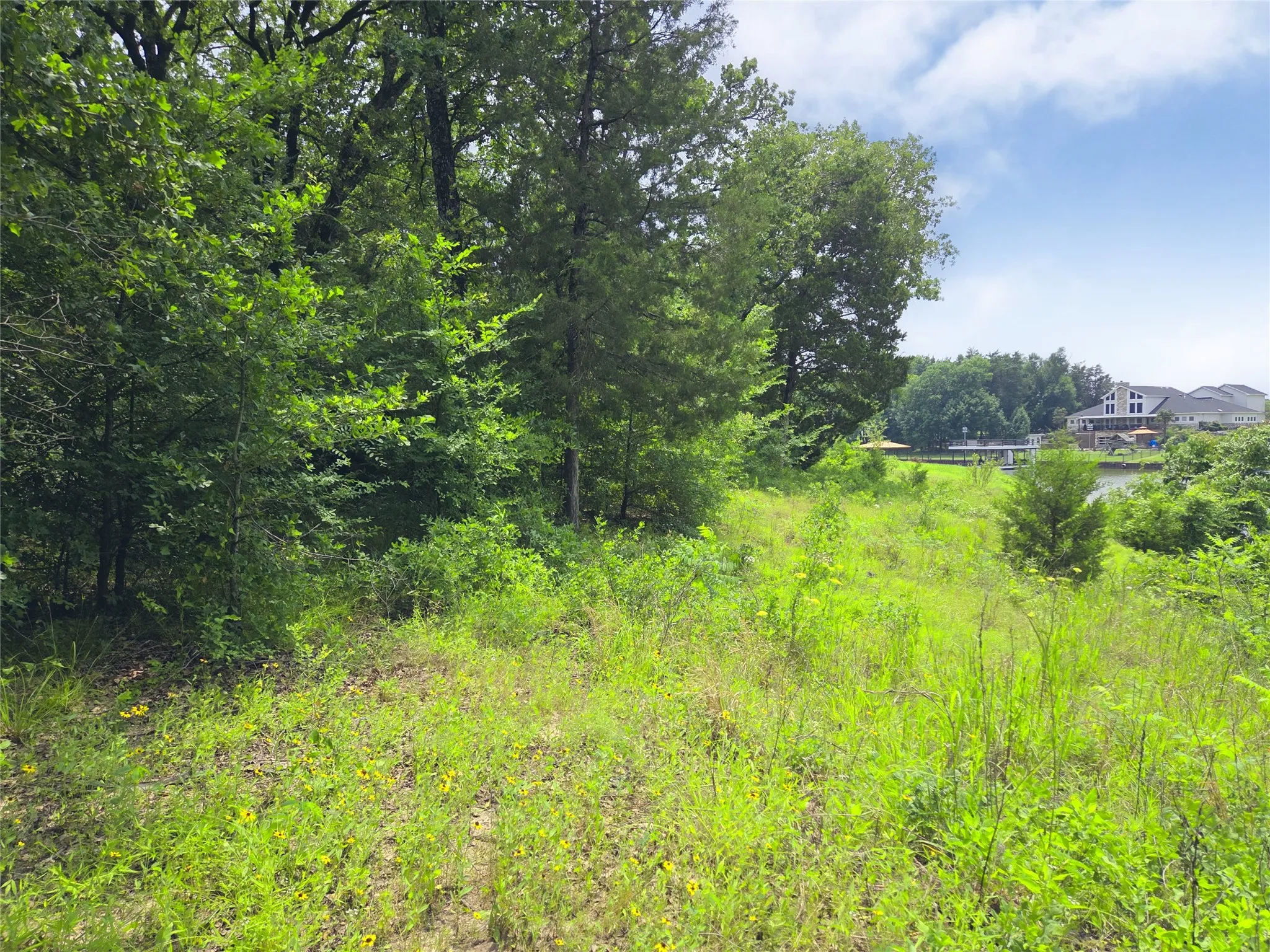 Unimproved Land For Sale in Navarro County , 442 Waters Edge Drive, Corsicana, Texas 75109, 0, 0, Garage spaces, 0 Sqft, built in 0, Price $94,900, mls#20810887, Real Estate Agent in Corsicana, Homes For Sale in Navarro county, Homes For Sale in Corsicana, Realtor in Corsicana Texas, Real Estate Brokerage Independent Realty Texas, Luminita Cordes Realtor