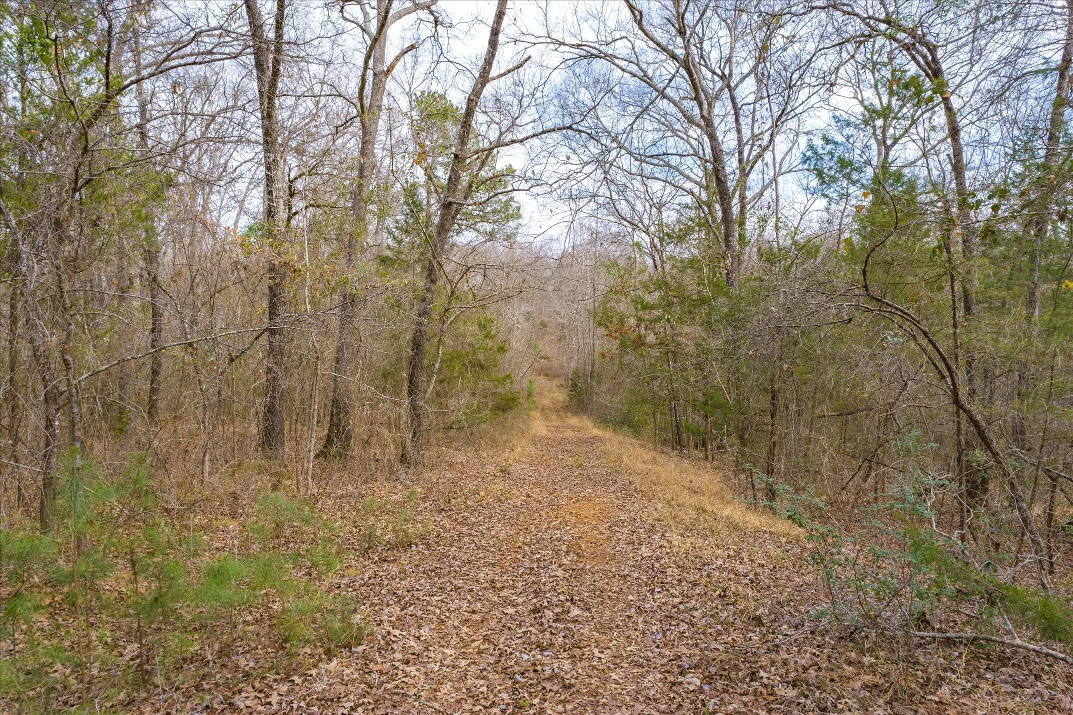 View of nature