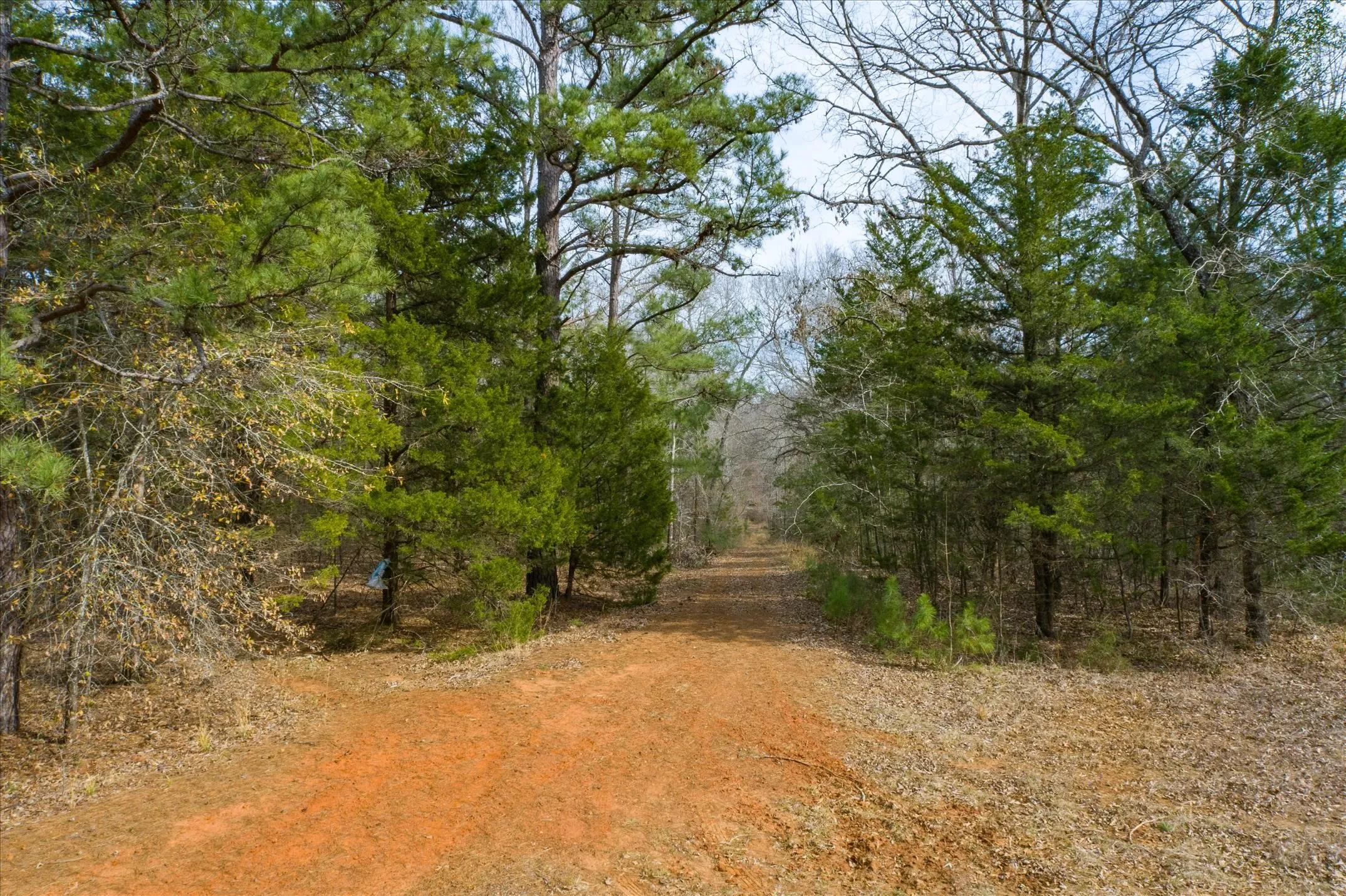 View of local wilderness