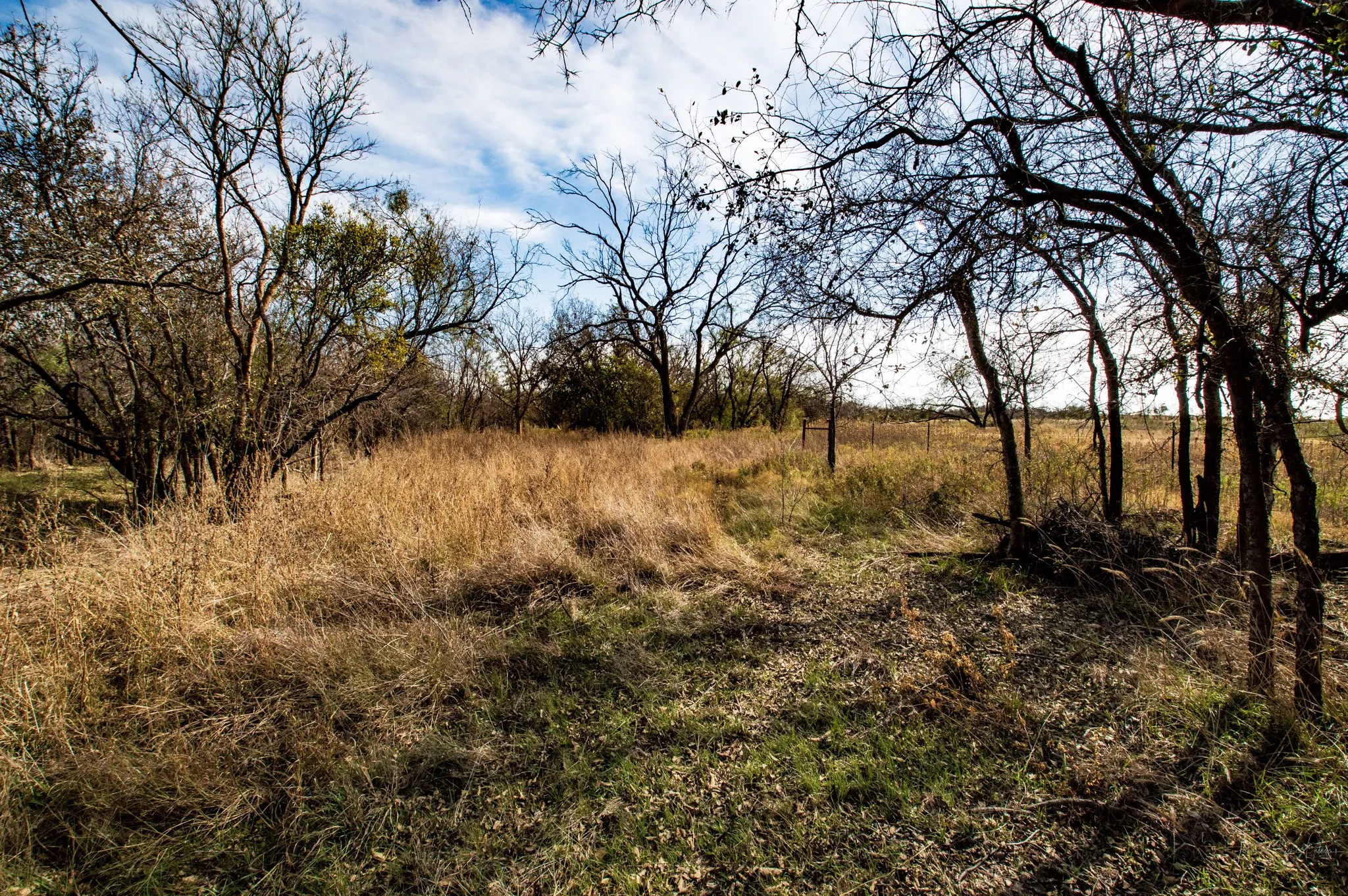 Ranch For Sale in Mitchell County , 3108 County Road 125, Colorado City, Texas 79512, 0, 0, Garage spaces, 0 Sqft, built in 0, mls#20809964, Real Estate Agent in Colorado City, Homes For Sale in Mitchell county, Homes For Sale in Colorado City, Realtor in Colorado City Texas, Real Estate Brokerage Independent Realty Texas, Luminita Cordes Realtor