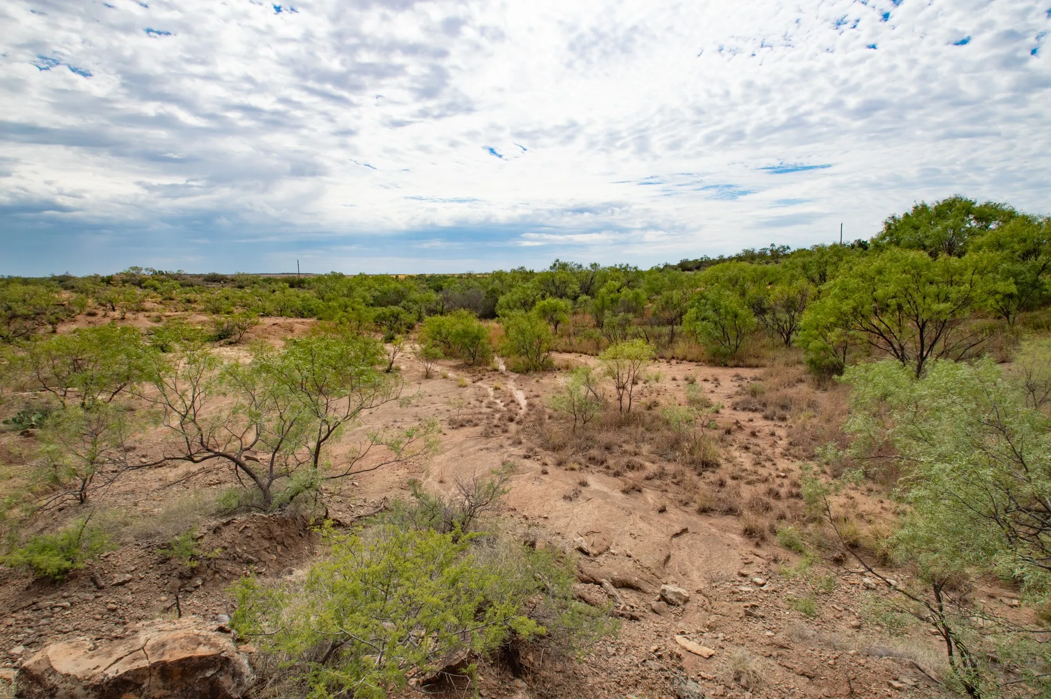 Ranch For Sale in Mitchell County , 3108 County Road 125, Colorado City, Texas 79512, 0, 0, Garage spaces, 0 Sqft, built in 0, mls#20809964, Real Estate Agent in Colorado City, Homes For Sale in Mitchell county, Homes For Sale in Colorado City, Realtor in Colorado City Texas, Real Estate Brokerage Independent Realty Texas, Luminita Cordes Realtor