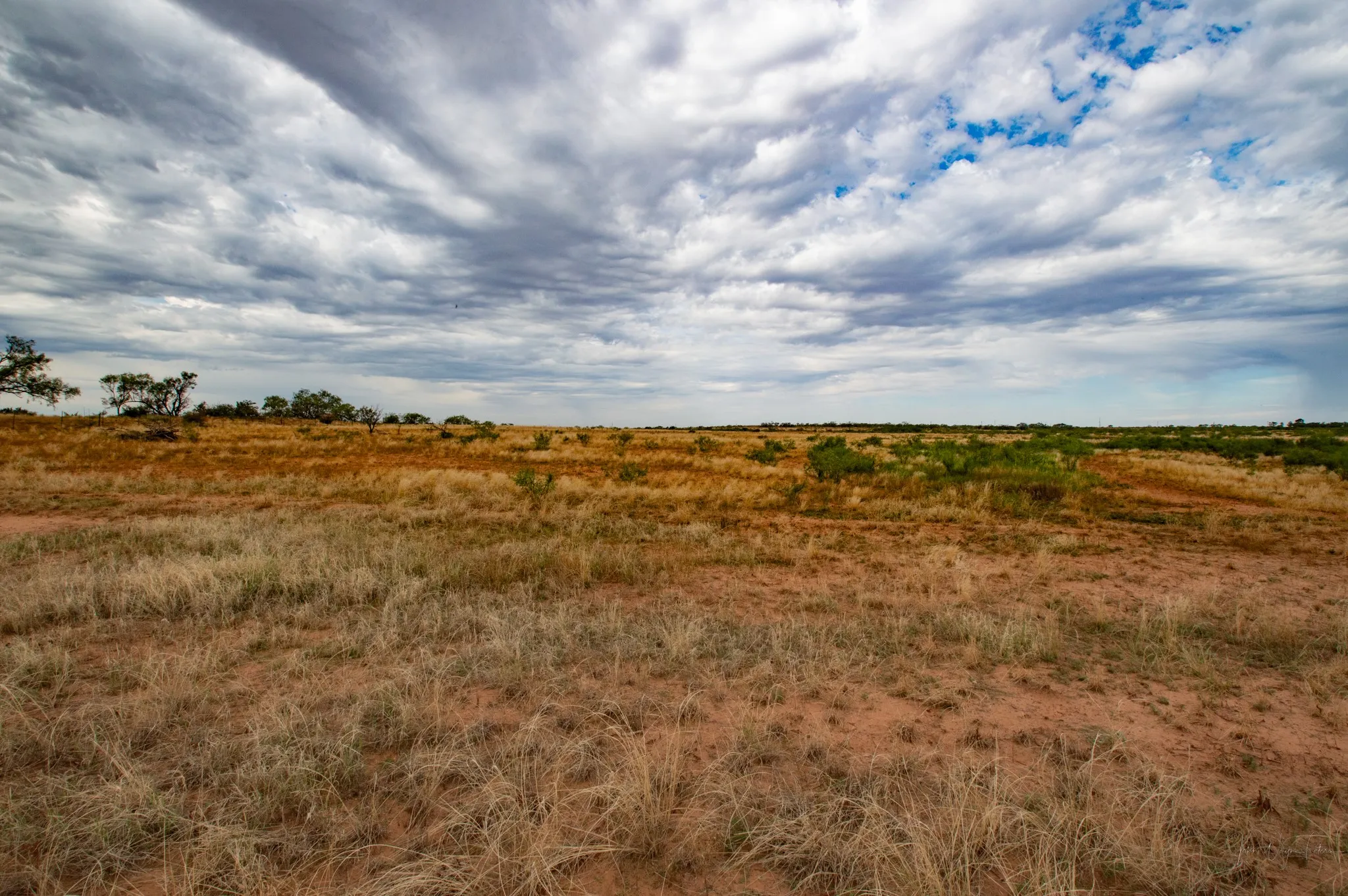 Ranch For Sale in Mitchell County , 3108 County Road 125, Colorado City, Texas 79512, 0, 0, Garage spaces, 0 Sqft, built in 0, mls#20809964, Real Estate Agent in Colorado City, Homes For Sale in Mitchell county, Homes For Sale in Colorado City, Realtor in Colorado City Texas, Real Estate Brokerage Independent Realty Texas, Luminita Cordes Realtor