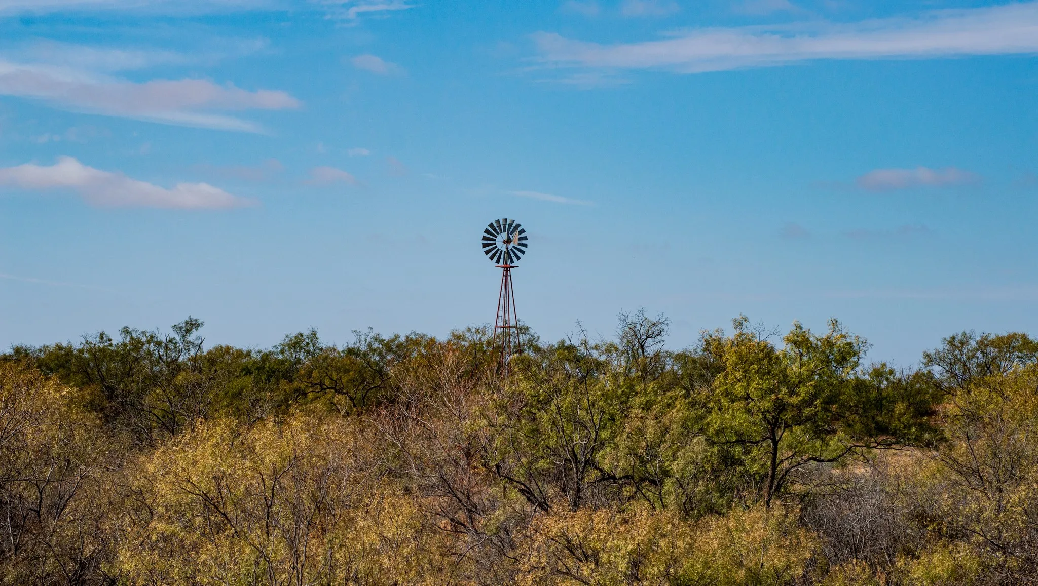 Ranch For Sale in Mitchell County , 3108 County Road 125, Colorado City, Texas 79512, 0, 0, Garage spaces, 0 Sqft, built in 0, mls#20809964, Real Estate Agent in Colorado City, Homes For Sale in Mitchell county, Homes For Sale in Colorado City, Realtor in Colorado City Texas, Real Estate Brokerage Independent Realty Texas, Luminita Cordes Realtor
