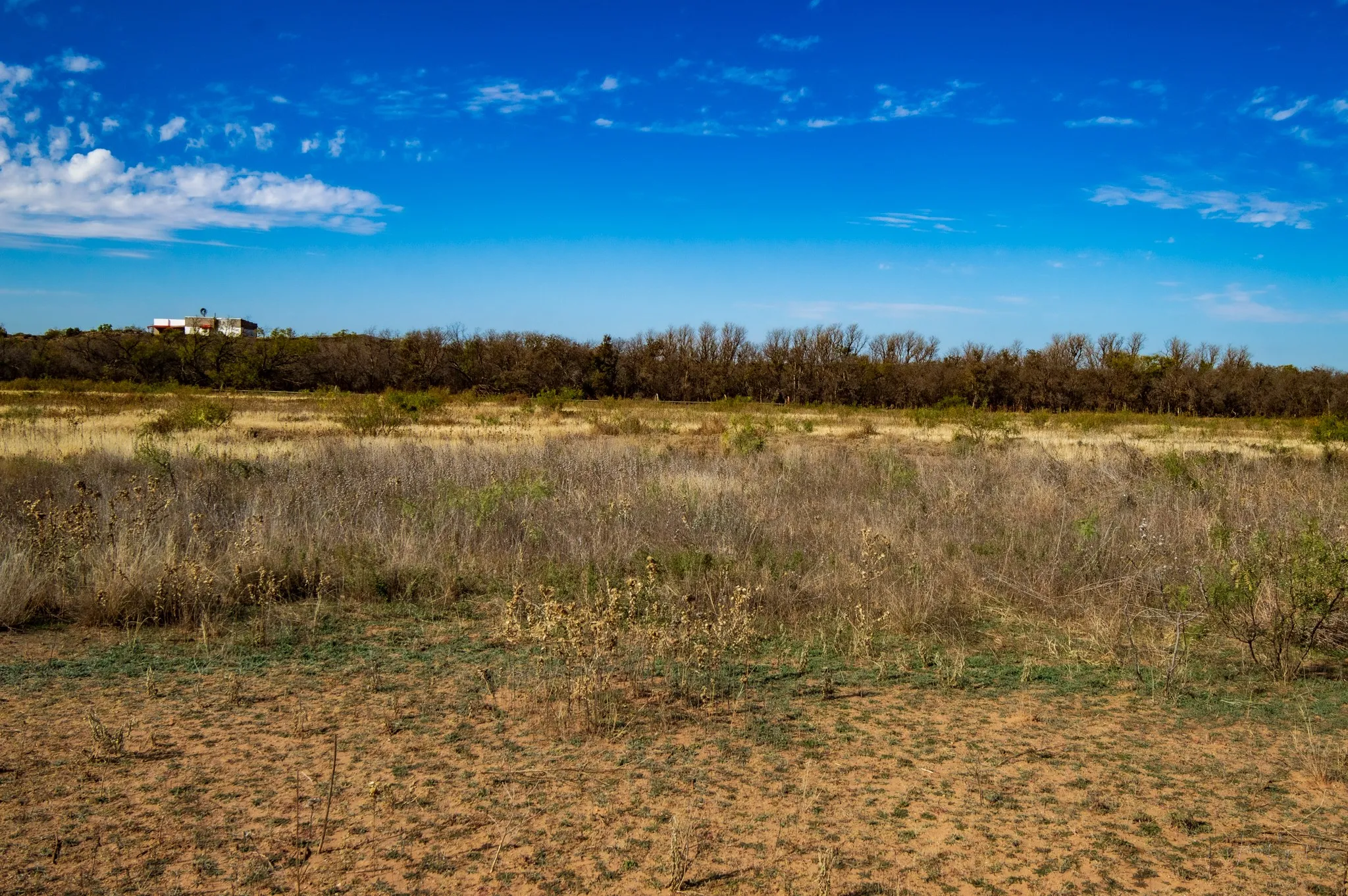 Ranch For Sale in Mitchell County , 3108 County Road 125, Colorado City, Texas 79512, 0, 0, Garage spaces, 0 Sqft, built in 0, mls#20809964, Real Estate Agent in Colorado City, Homes For Sale in Mitchell county, Homes For Sale in Colorado City, Realtor in Colorado City Texas, Real Estate Brokerage Independent Realty Texas, Luminita Cordes Realtor