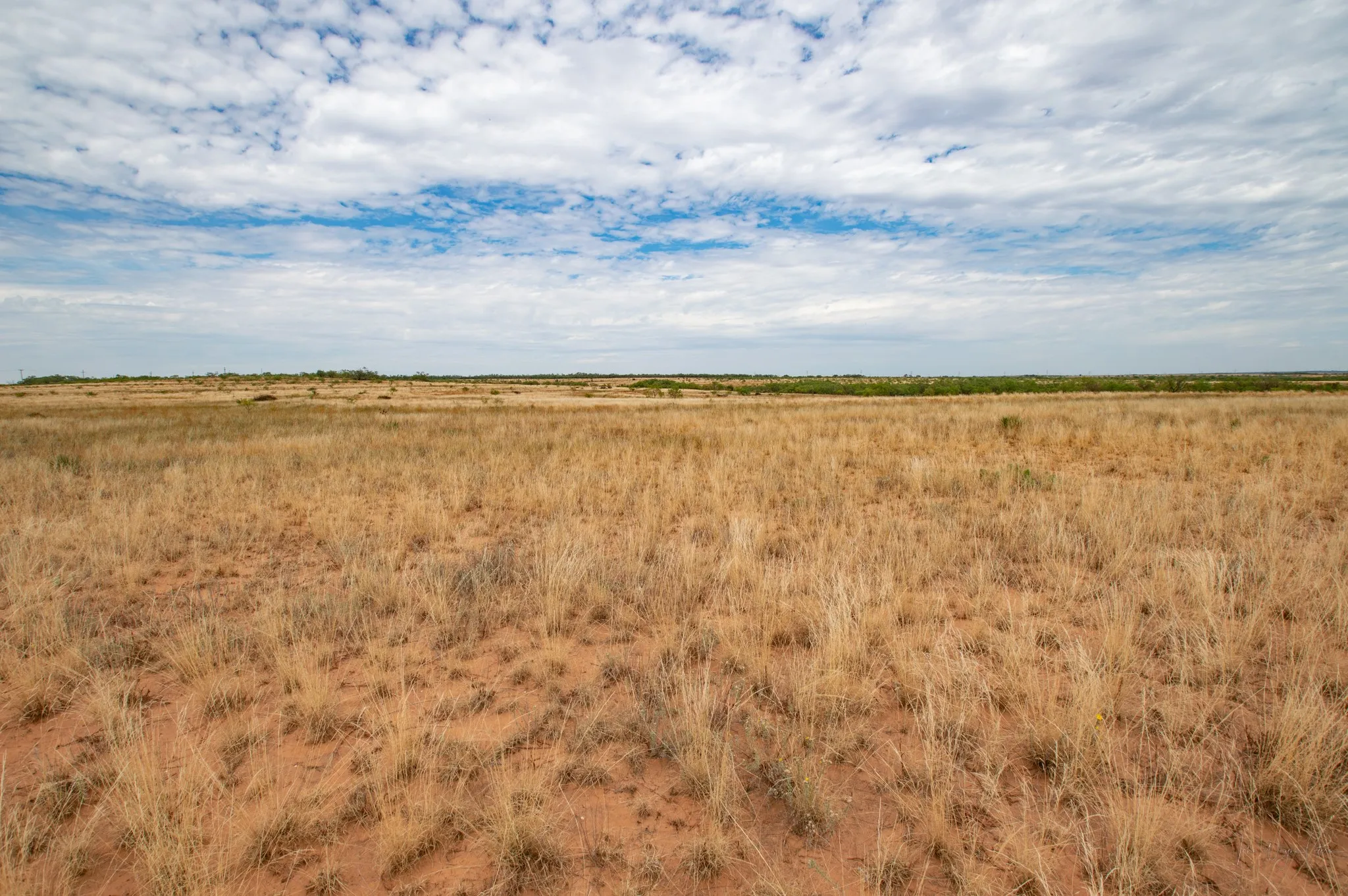 Ranch For Sale in Mitchell County , 3108 County Road 125, Colorado City, Texas 79512, 0, 0, Garage spaces, 0 Sqft, built in 0, mls#20809964, Real Estate Agent in Colorado City, Homes For Sale in Mitchell county, Homes For Sale in Colorado City, Realtor in Colorado City Texas, Real Estate Brokerage Independent Realty Texas, Luminita Cordes Realtor