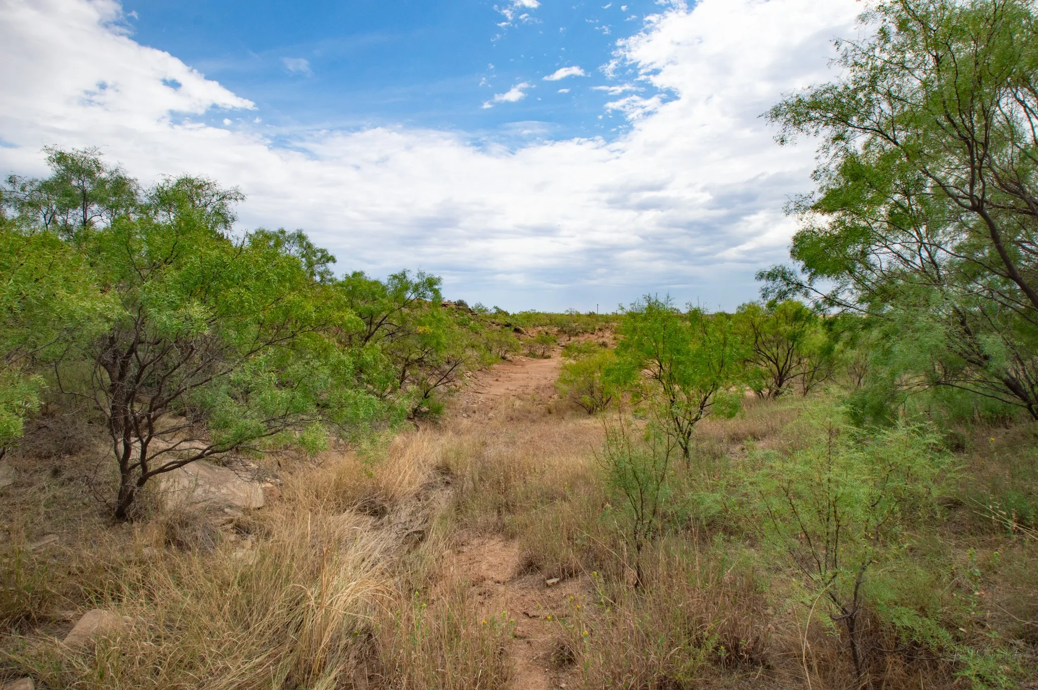 Ranch For Sale in Mitchell County , 3108 County Road 125, Colorado City, Texas 79512, 0, 0, Garage spaces, 0 Sqft, built in 0, mls#20809964, Real Estate Agent in Colorado City, Homes For Sale in Mitchell county, Homes For Sale in Colorado City, Realtor in Colorado City Texas, Real Estate Brokerage Independent Realty Texas, Luminita Cordes Realtor