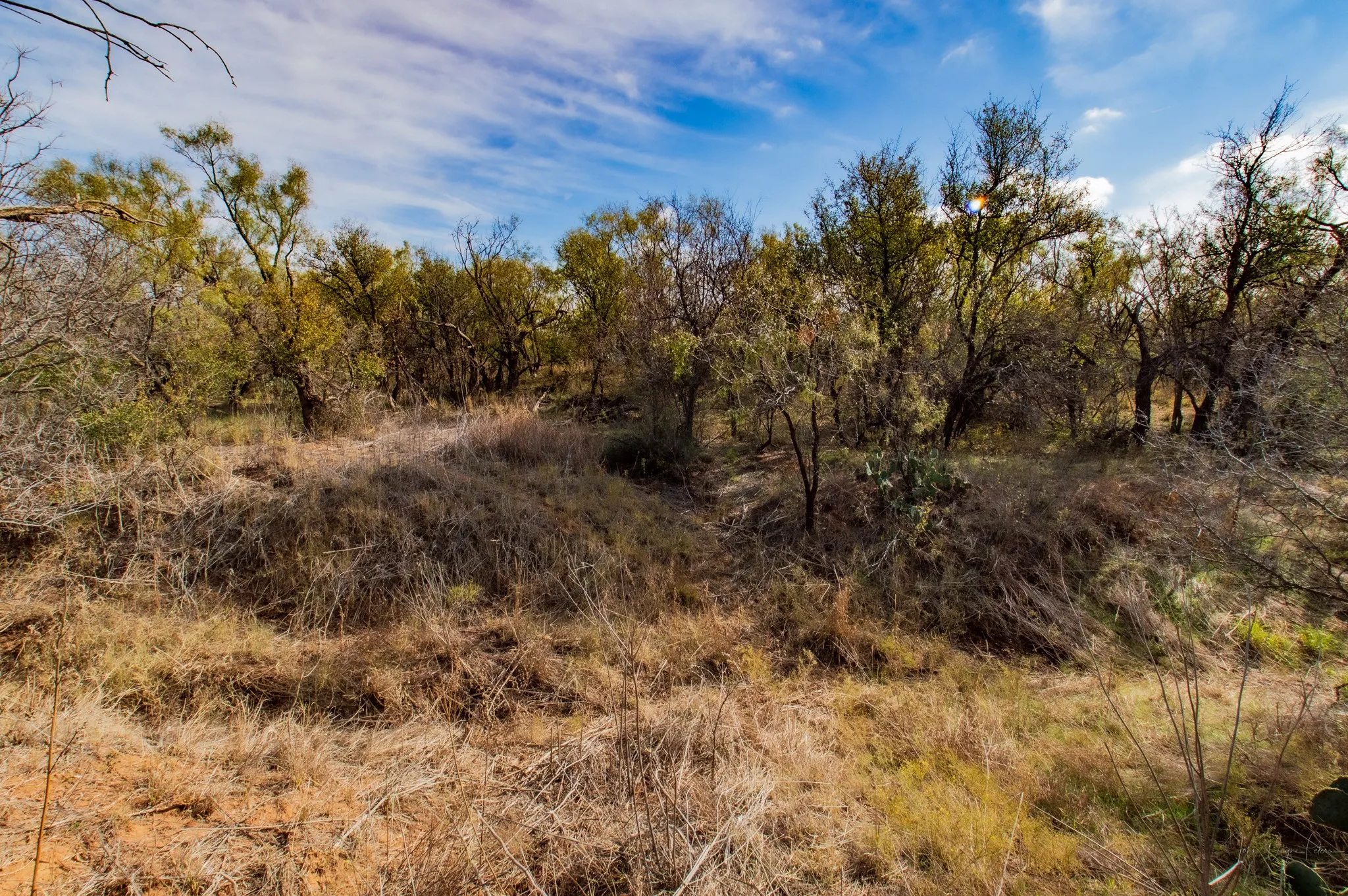 Ranch For Sale in Mitchell County , 3108 County Road 125, Colorado City, Texas 79512, 0, 0, Garage spaces, 0 Sqft, built in 0, mls#20809964, Real Estate Agent in Colorado City, Homes For Sale in Mitchell county, Homes For Sale in Colorado City, Realtor in Colorado City Texas, Real Estate Brokerage Independent Realty Texas, Luminita Cordes Realtor