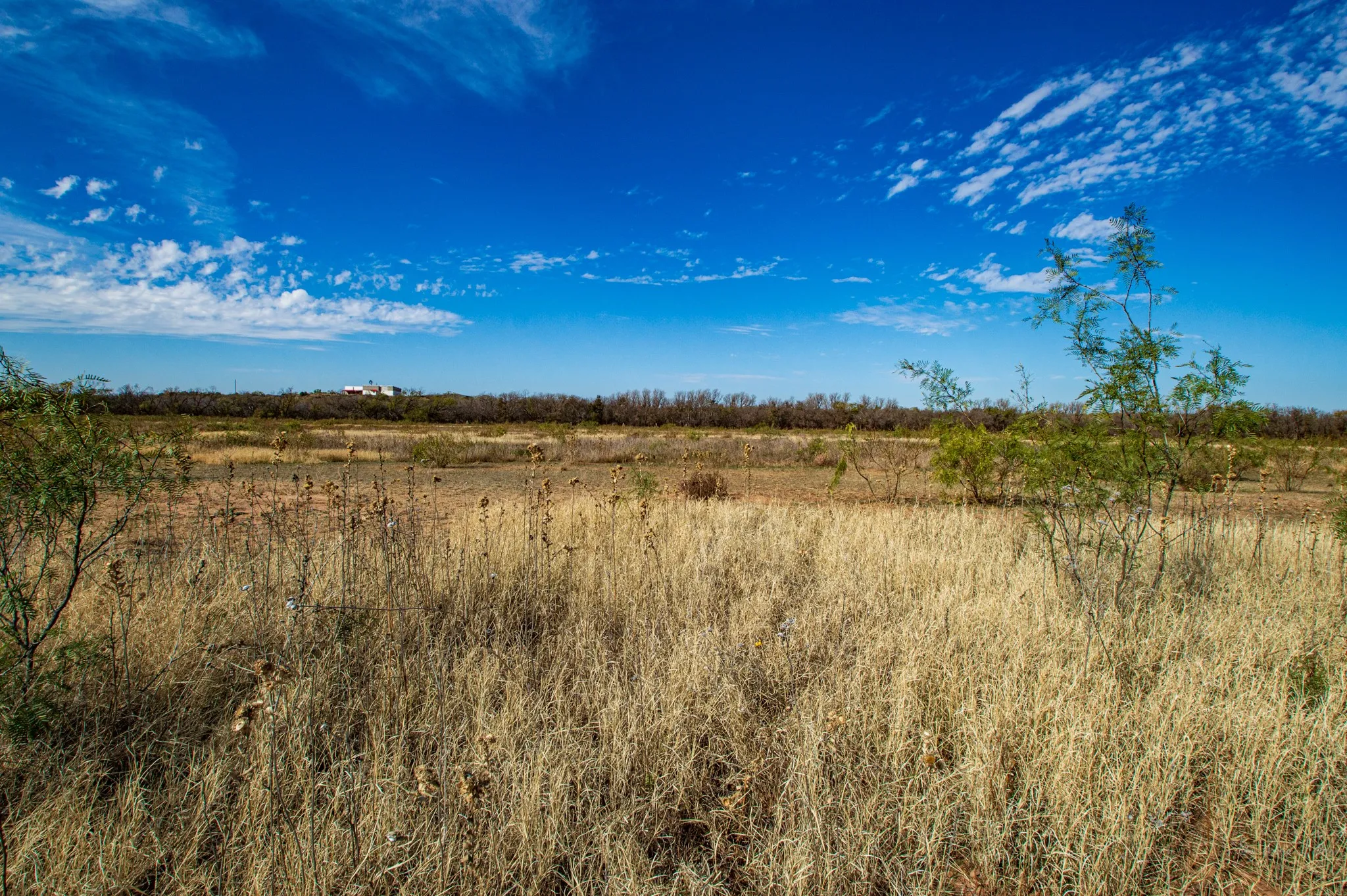 Ranch For Sale in Mitchell County , 3108 County Road 125, Colorado City, Texas 79512, 0, 0, Garage spaces, 0 Sqft, built in 0, mls#20809964, Real Estate Agent in Colorado City, Homes For Sale in Mitchell county, Homes For Sale in Colorado City, Realtor in Colorado City Texas, Real Estate Brokerage Independent Realty Texas, Luminita Cordes Realtor