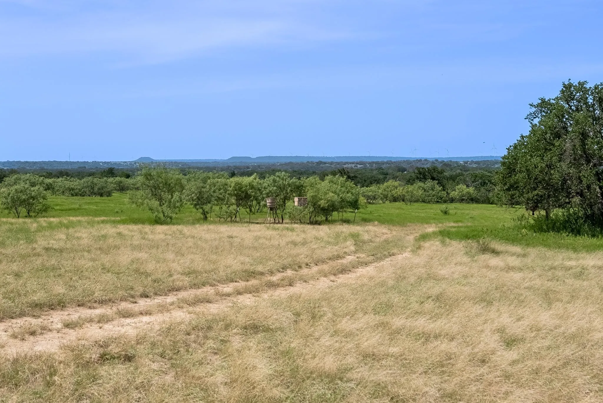 Farm For Sale in Comanche County , 17921 Tx-16, Comanche, Texas 76442, 3 Bedroom, 1 Bathroom, 2 Garage spaces, 1,554 Sqft, built in 1946, Preowned, Price $2,000,000, mls#20811111, Real Estate Agent in Comanche, Homes For Sale in Comanche county, Homes For Sale in Comanche, Realtor in Comanche Texas, Real Estate Brokerage Independent Realty Texas, Luminita Cordes Realtor