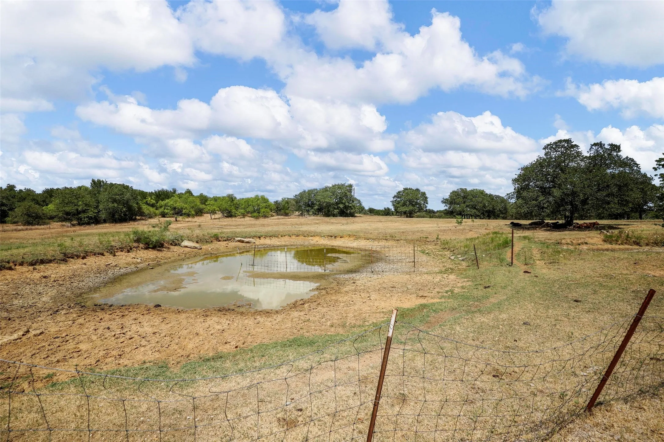 Ranch For Sale in Wise County , 406 County Road 1744, Chico, Texas 76431, 0, 0, Garage spaces, 0 Sqft, built in 1997, mls#20809651, Real Estate Agent in Chico, Homes For Sale in Wise county, Homes For Sale in Chico, Realtor in Chico Texas, Real Estate Brokerage Independent Realty Texas, Luminita Cordes Realtor
