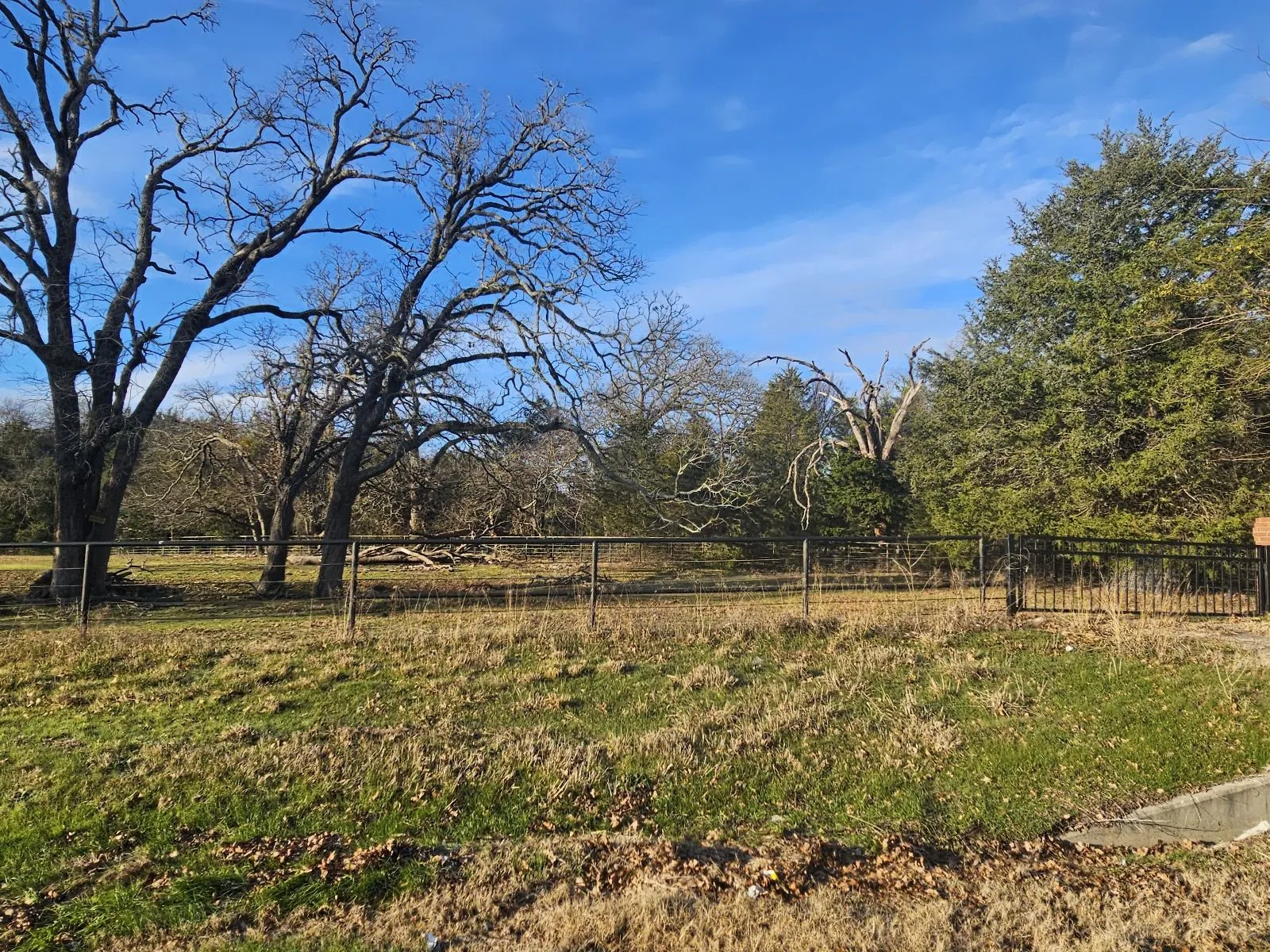 Unimproved Land For Sale in Hunt County , Lot 1 Joe Ramsey Boulevard, Greenville, Texas 75402, 0, 0, Garage spaces, 0 Sqft, built in 0, Price $105,000, mls#20815804, Real Estate Agent in Greenville, Homes For Sale in Hunt county, Homes For Sale in Greenville, Realtor in Greenville Texas, Real Estate Brokerage Independent Realty Texas, Luminita Cordes Realtor