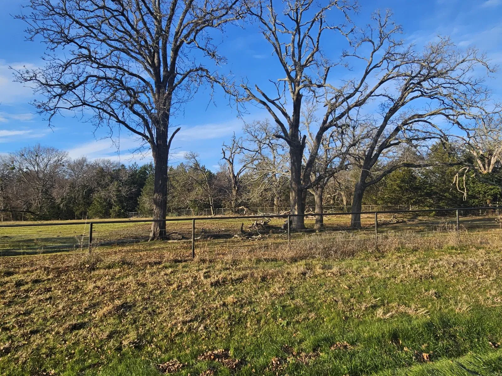 Unimproved Land For Sale in Hunt County , Lot 1 Joe Ramsey Boulevard, Greenville, Texas 75402, 0, 0, Garage spaces, 0 Sqft, built in 0, Price $105,000, mls#20815804, Real Estate Agent in Greenville, Homes For Sale in Hunt county, Homes For Sale in Greenville, Realtor in Greenville Texas, Real Estate Brokerage Independent Realty Texas, Luminita Cordes Realtor