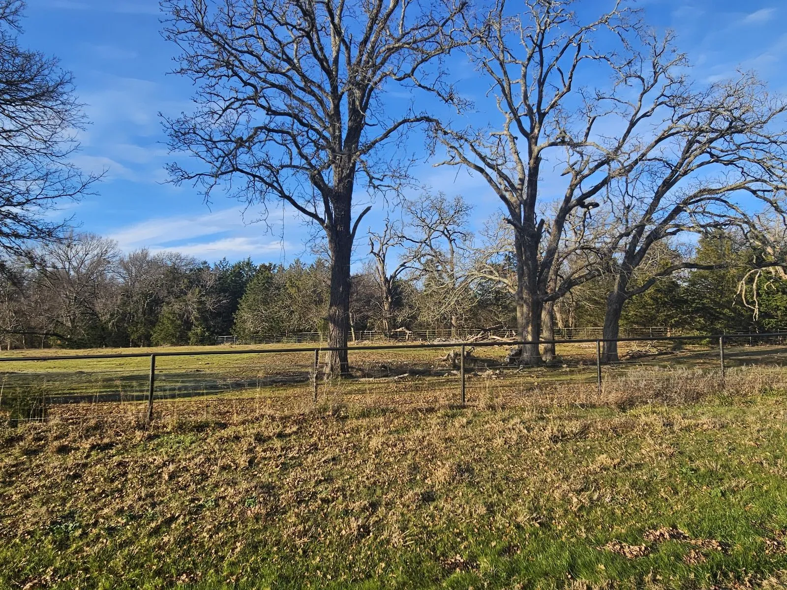 Unimproved Land For Sale in Hunt County , Lot 1 Joe Ramsey Boulevard, Greenville, Texas 75402, 0, 0, Garage spaces, 0 Sqft, built in 0, Price $105,000, mls#20815804, Real Estate Agent in Greenville, Homes For Sale in Hunt county, Homes For Sale in Greenville, Realtor in Greenville Texas, Real Estate Brokerage Independent Realty Texas, Luminita Cordes Realtor