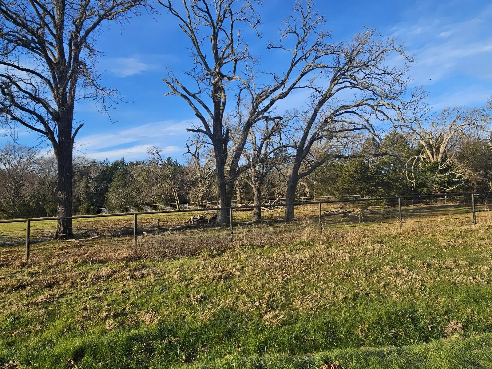 Unimproved Land For Sale in Hunt County , Lot 1 Joe Ramsey Boulevard, Greenville, Texas 75402, 0, 0, Garage spaces, 0 Sqft, built in 0, Price $105,000, mls#20815804, Real Estate Agent in Greenville, Homes For Sale in Hunt county, Homes For Sale in Greenville, Realtor in Greenville Texas, Real Estate Brokerage Independent Realty Texas, Luminita Cordes Realtor