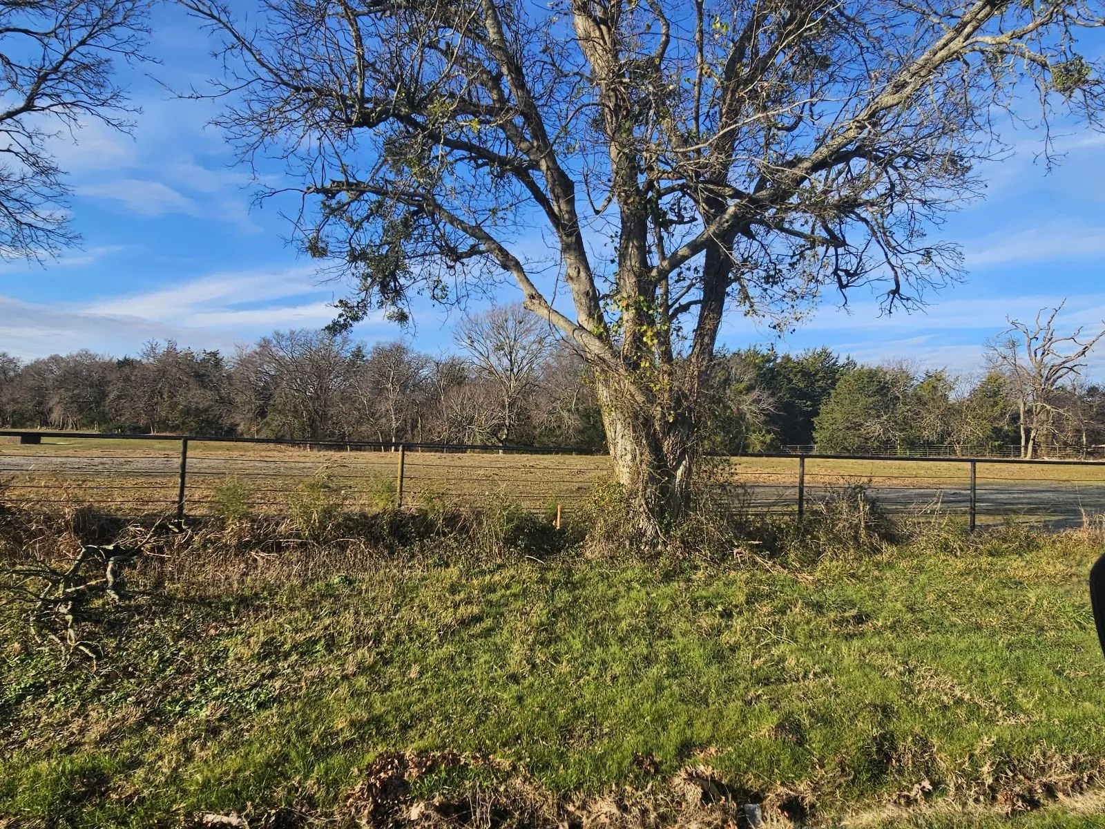 Unimproved Land For Sale in Hunt County , Lot 2 Joe Ramsey Boulevard, Greenville, Texas 75402, 0, 0, Garage spaces, 0 Sqft, built in 0, Price $139,000, mls#20815823, Real Estate Agent in Greenville, Homes For Sale in Hunt county, Homes For Sale in Greenville, Realtor in Greenville Texas, Real Estate Brokerage Independent Realty Texas, Luminita Cordes Realtor