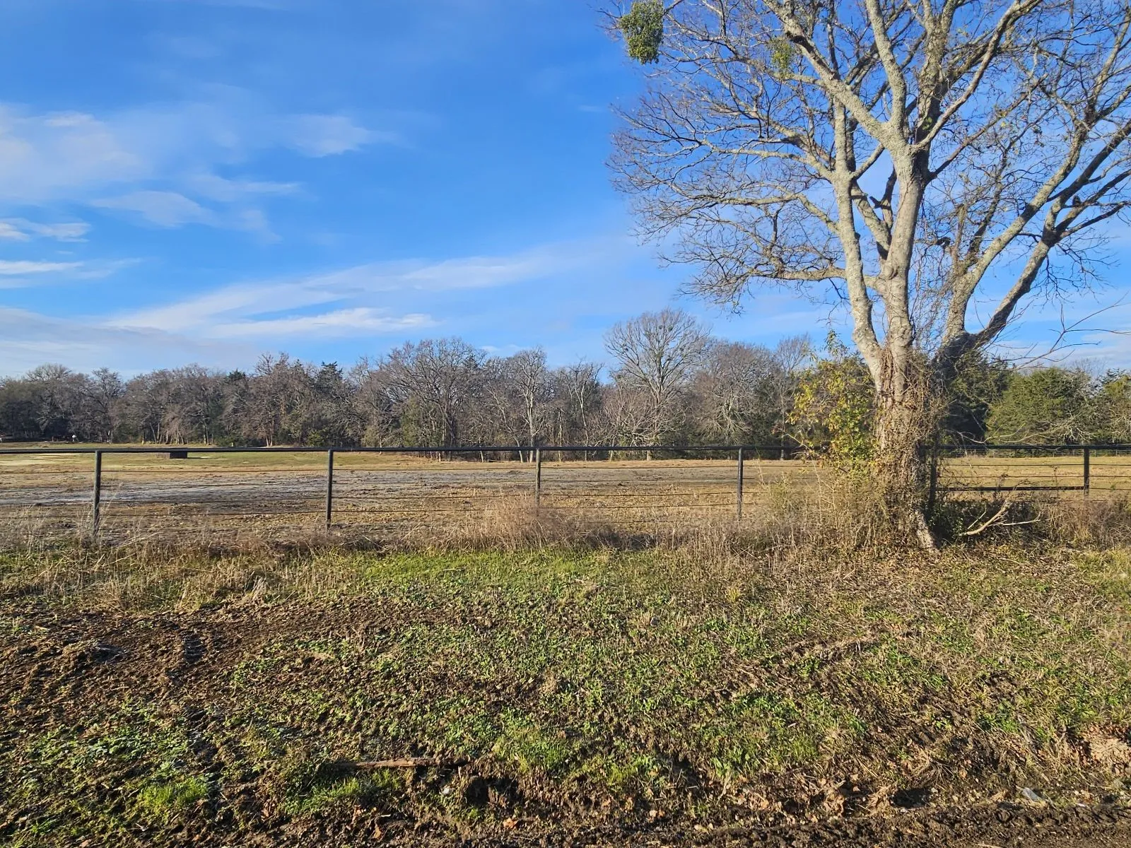 Unimproved Land For Sale in Hunt County , Lot 2 Joe Ramsey Boulevard, Greenville, Texas 75402, 0, 0, Garage spaces, 0 Sqft, built in 0, Price $139,000, mls#20815823, Real Estate Agent in Greenville, Homes For Sale in Hunt county, Homes For Sale in Greenville, Realtor in Greenville Texas, Real Estate Brokerage Independent Realty Texas, Luminita Cordes Realtor