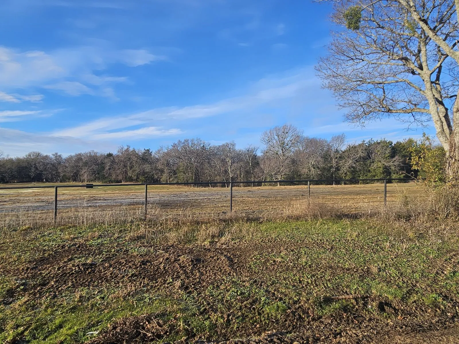 Unimproved Land For Sale in Hunt County , Lot 2 Joe Ramsey Boulevard, Greenville, Texas 75402, 0, 0, Garage spaces, 0 Sqft, built in 0, Price $139,000, mls#20815823, Real Estate Agent in Greenville, Homes For Sale in Hunt county, Homes For Sale in Greenville, Realtor in Greenville Texas, Real Estate Brokerage Independent Realty Texas, Luminita Cordes Realtor