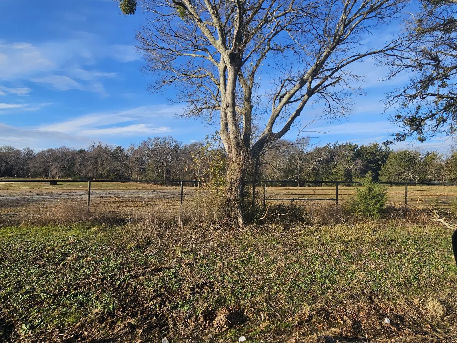 Unimproved Land For Sale in Hunt County , Lot 2 Joe Ramsey Boulevard, Greenville, Texas 75402, 0, 0, Garage spaces, 0 Sqft, built in 0, Price $139,000, mls#20815823, Real Estate Agent in Greenville, Homes For Sale in Hunt county, Homes For Sale in Greenville, Realtor in Greenville Texas, Real Estate Brokerage Independent Realty Texas, Luminita Cordes Realtor