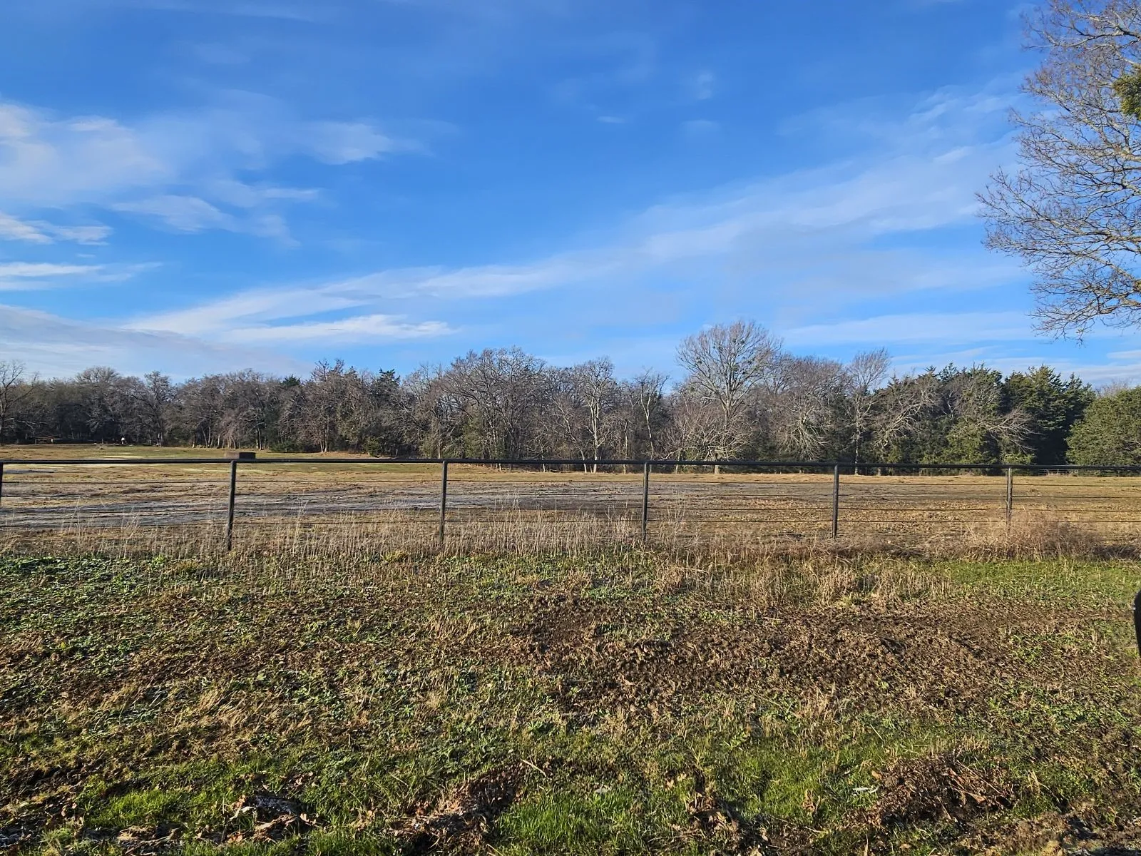 Unimproved Land For Sale in Hunt County , Lot 2 Joe Ramsey Boulevard, Greenville, Texas 75402, 0, 0, Garage spaces, 0 Sqft, built in 0, Price $139,000, mls#20815823, Real Estate Agent in Greenville, Homes For Sale in Hunt county, Homes For Sale in Greenville, Realtor in Greenville Texas, Real Estate Brokerage Independent Realty Texas, Luminita Cordes Realtor