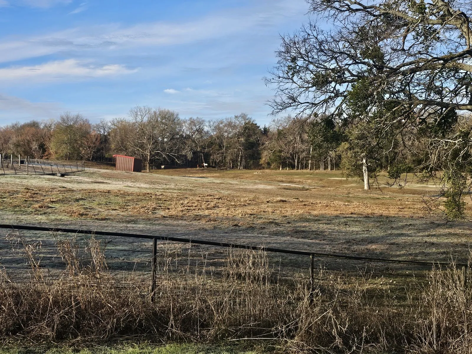 Unimproved Land For Sale in Hunt County , Lot 3 Joe Ramsey Boulevard, Greenville, Texas 75402, 0, 0, Garage spaces, 0 Sqft, built in 0, Price $274,900, mls#20815833, Real Estate Agent in Greenville, Homes For Sale in Hunt county, Homes For Sale in Greenville, Realtor in Greenville Texas, Real Estate Brokerage Independent Realty Texas, Luminita Cordes Realtor