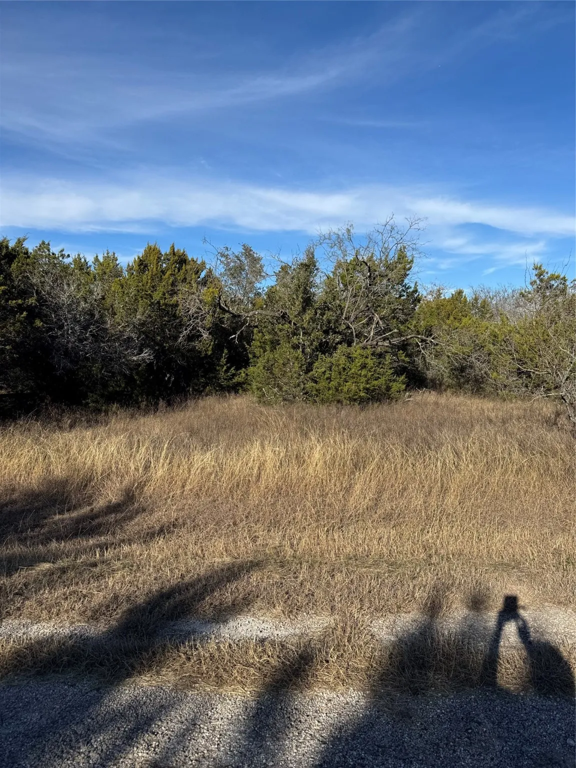 Unimproved Land For Sale in Hill County , 44125 Cedar Hill Drive, Whitney, Texas 76692, 0, 0, Garage spaces, 0 Sqft, built in 0, mls#20816024, Real Estate Agent in Whitney, Homes For Sale in Hill county, Homes For Sale in Whitney, Realtor in Whitney Texas, Real Estate Brokerage Independent Realty Texas, Luminita Cordes Realtor