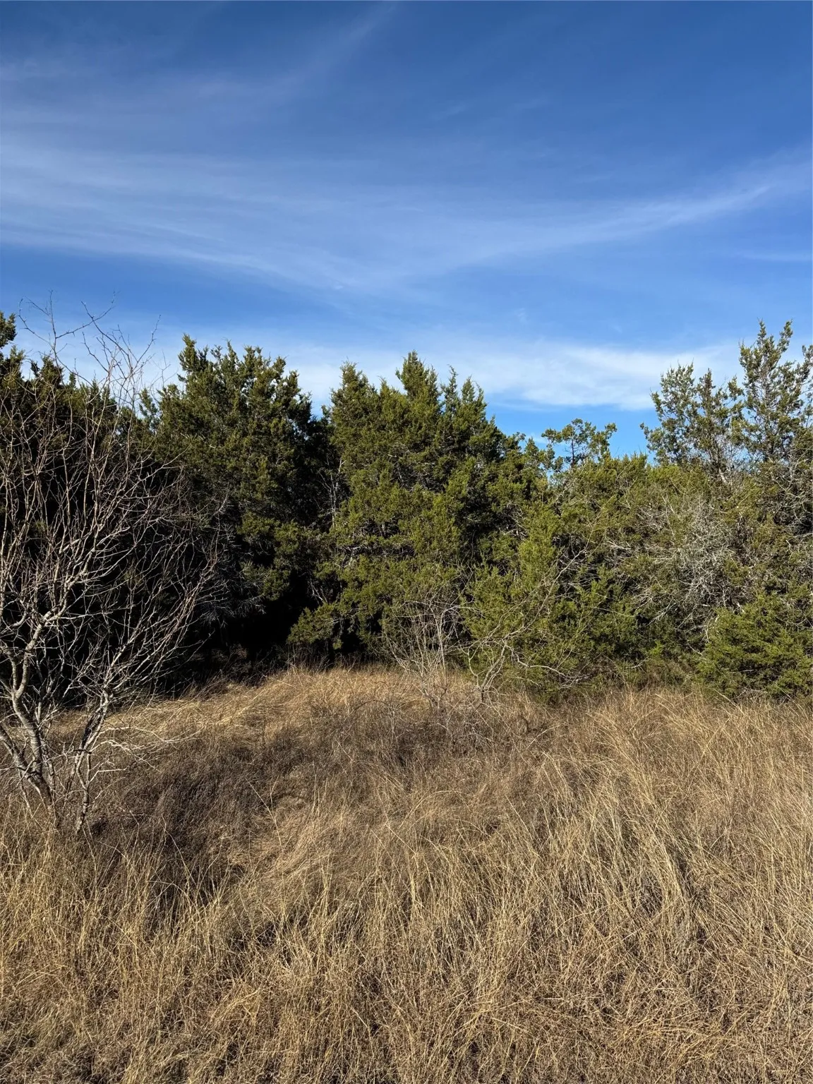 Unimproved Land For Sale in Hill County , 44125 Cedar Hill Drive, Whitney, Texas 76692, 0, 0, Garage spaces, 0 Sqft, built in 0, mls#20816024, Real Estate Agent in Whitney, Homes For Sale in Hill county, Homes For Sale in Whitney, Realtor in Whitney Texas, Real Estate Brokerage Independent Realty Texas, Luminita Cordes Realtor
