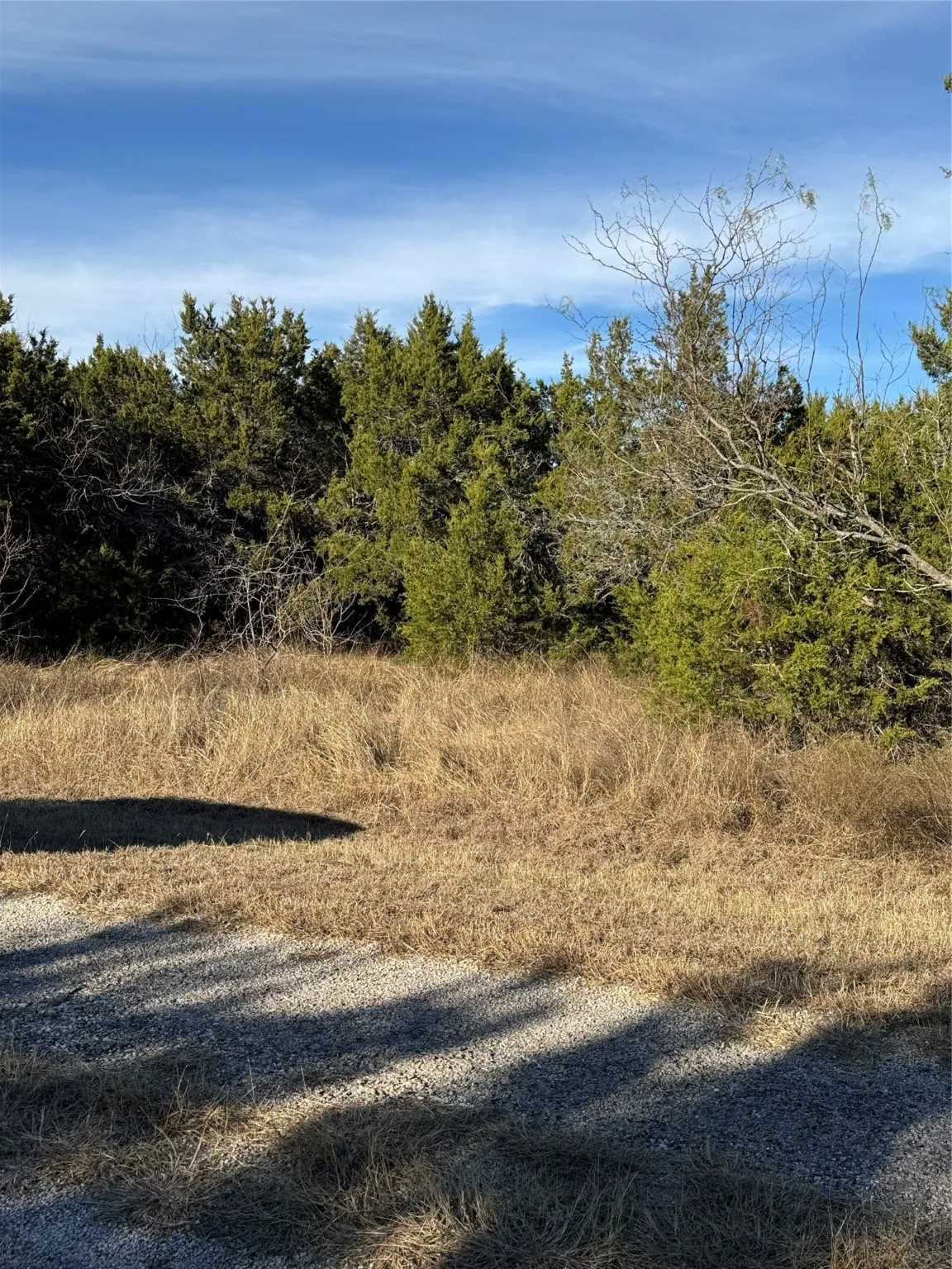 Unimproved Land For Sale in Hill County , 44125 Cedar Hill Drive, Whitney, Texas 76692, 0, 0, Garage spaces, 0 Sqft, built in 0, mls#20816024, Real Estate Agent in Whitney, Homes For Sale in Hill county, Homes For Sale in Whitney, Realtor in Whitney Texas, Real Estate Brokerage Independent Realty Texas, Luminita Cordes Realtor