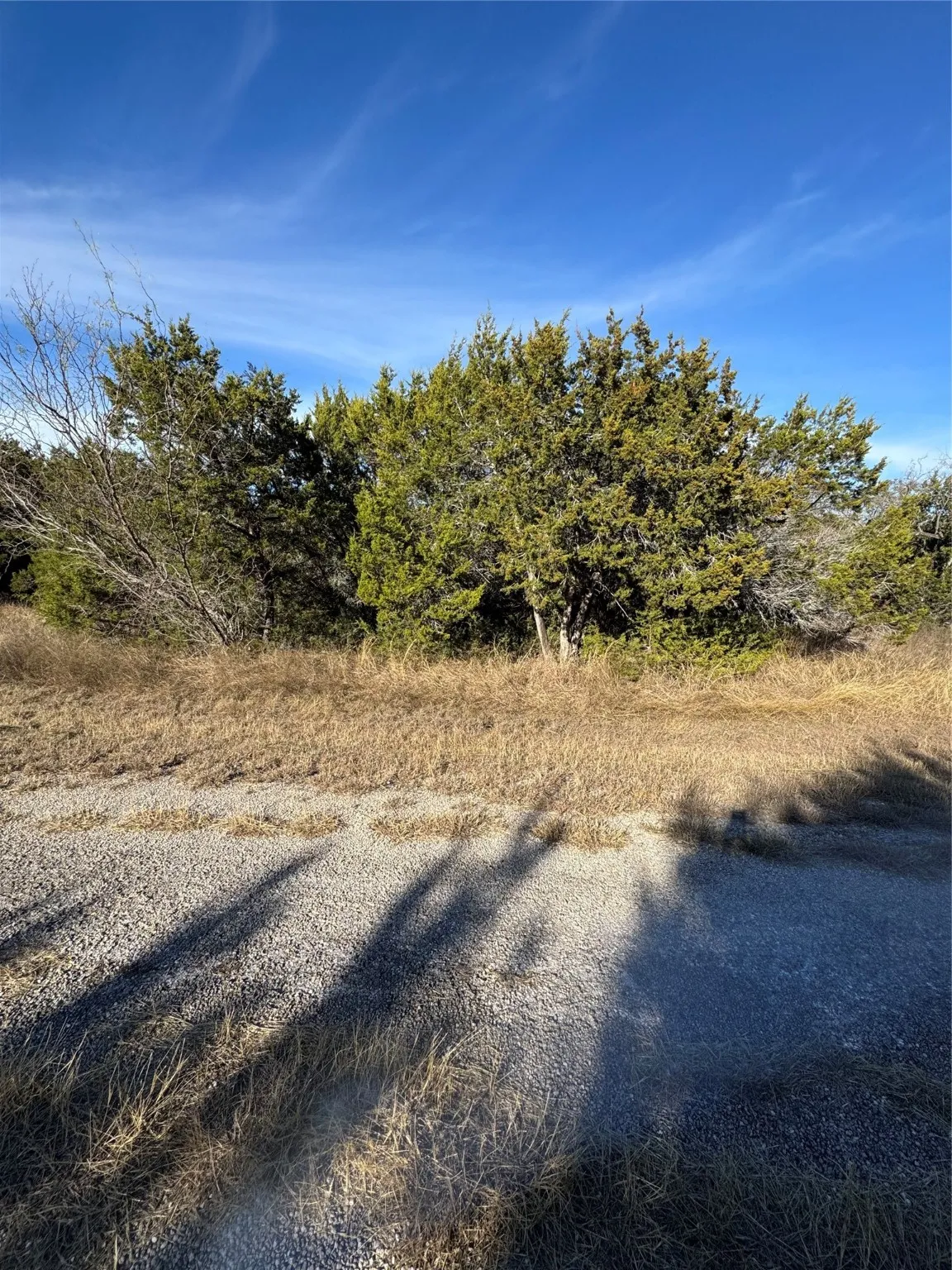 Unimproved Land For Sale in Hill County , 44125 Cedar Hill Drive, Whitney, Texas 76692, 0, 0, Garage spaces, 0 Sqft, built in 0, mls#20816024, Real Estate Agent in Whitney, Homes For Sale in Hill county, Homes For Sale in Whitney, Realtor in Whitney Texas, Real Estate Brokerage Independent Realty Texas, Luminita Cordes Realtor