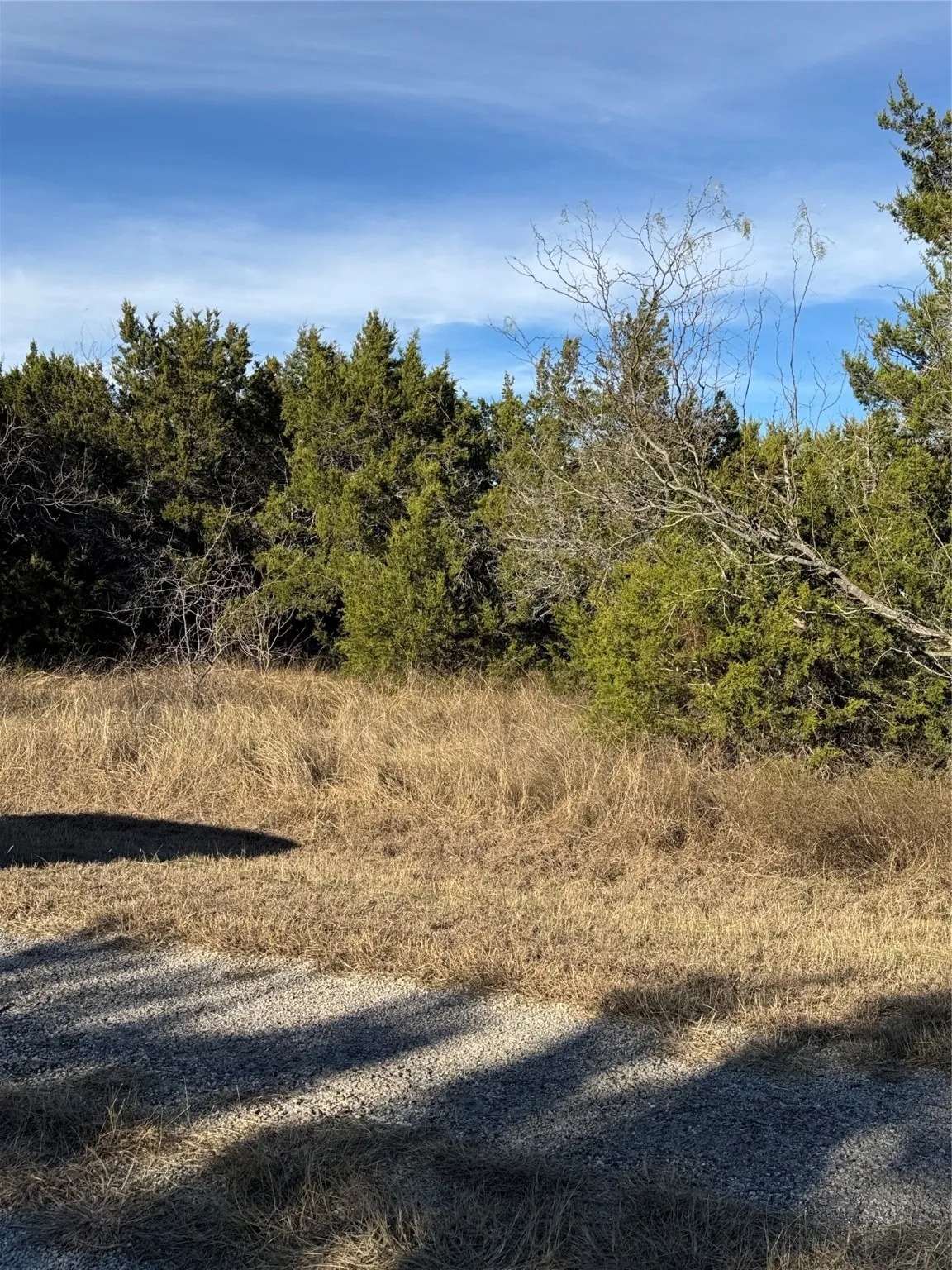 Unimproved Land For Sale in Hill County , 44125 Cedar Hill Drive, Whitney, Texas 76692, 0, 0, Garage spaces, 0 Sqft, built in 0, mls#20816024, Real Estate Agent in Whitney, Homes For Sale in Hill county, Homes For Sale in Whitney, Realtor in Whitney Texas, Real Estate Brokerage Independent Realty Texas, Luminita Cordes Realtor