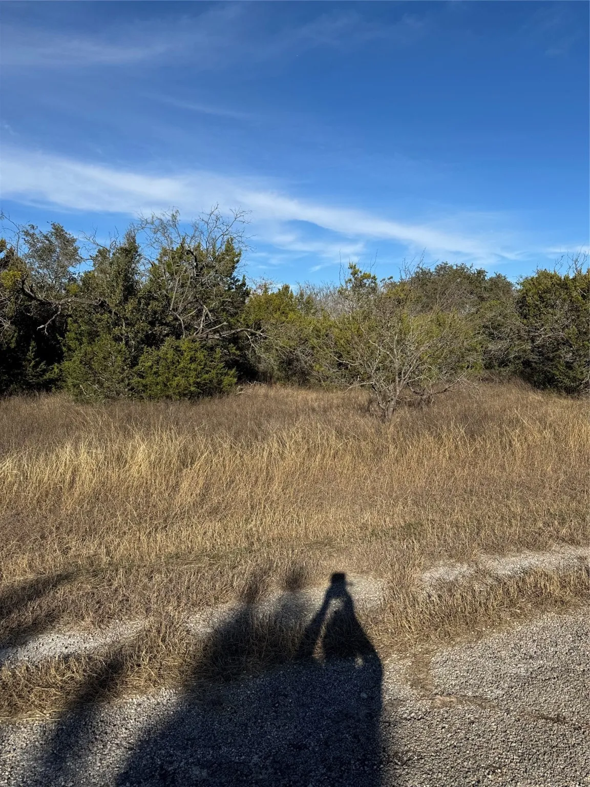 Unimproved Land For Sale in Hill County , 44125 Cedar Hill Drive, Whitney, Texas 76692, 0, 0, Garage spaces, 0 Sqft, built in 0, mls#20816024, Real Estate Agent in Whitney, Homes For Sale in Hill county, Homes For Sale in Whitney, Realtor in Whitney Texas, Real Estate Brokerage Independent Realty Texas, Luminita Cordes Realtor